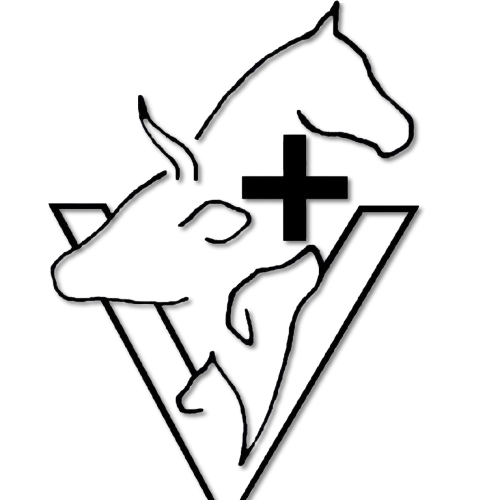 Logo-removebg-preview-1-