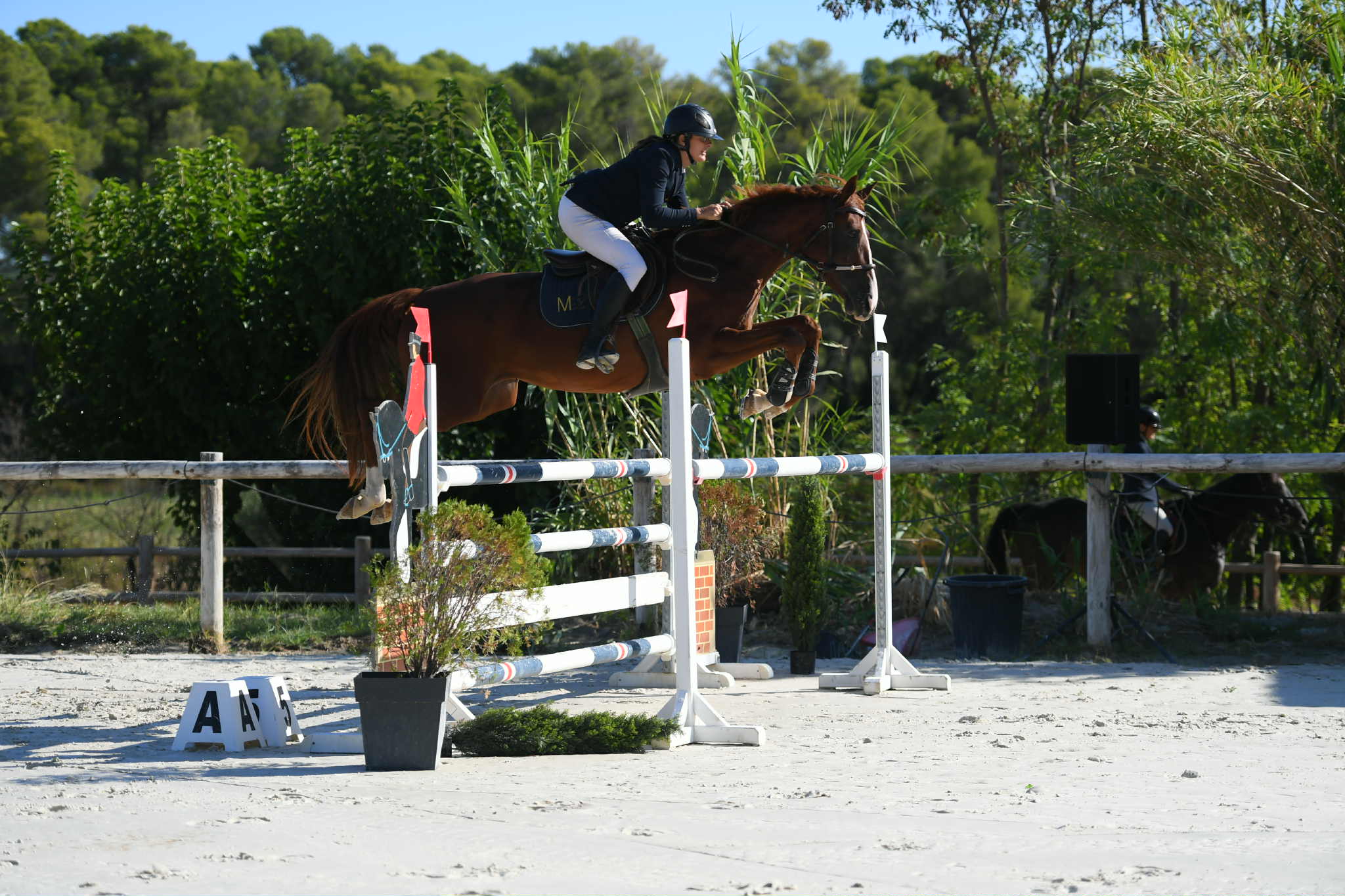 3431fad0-9fe6-455f-9522-c4af1dbbc248