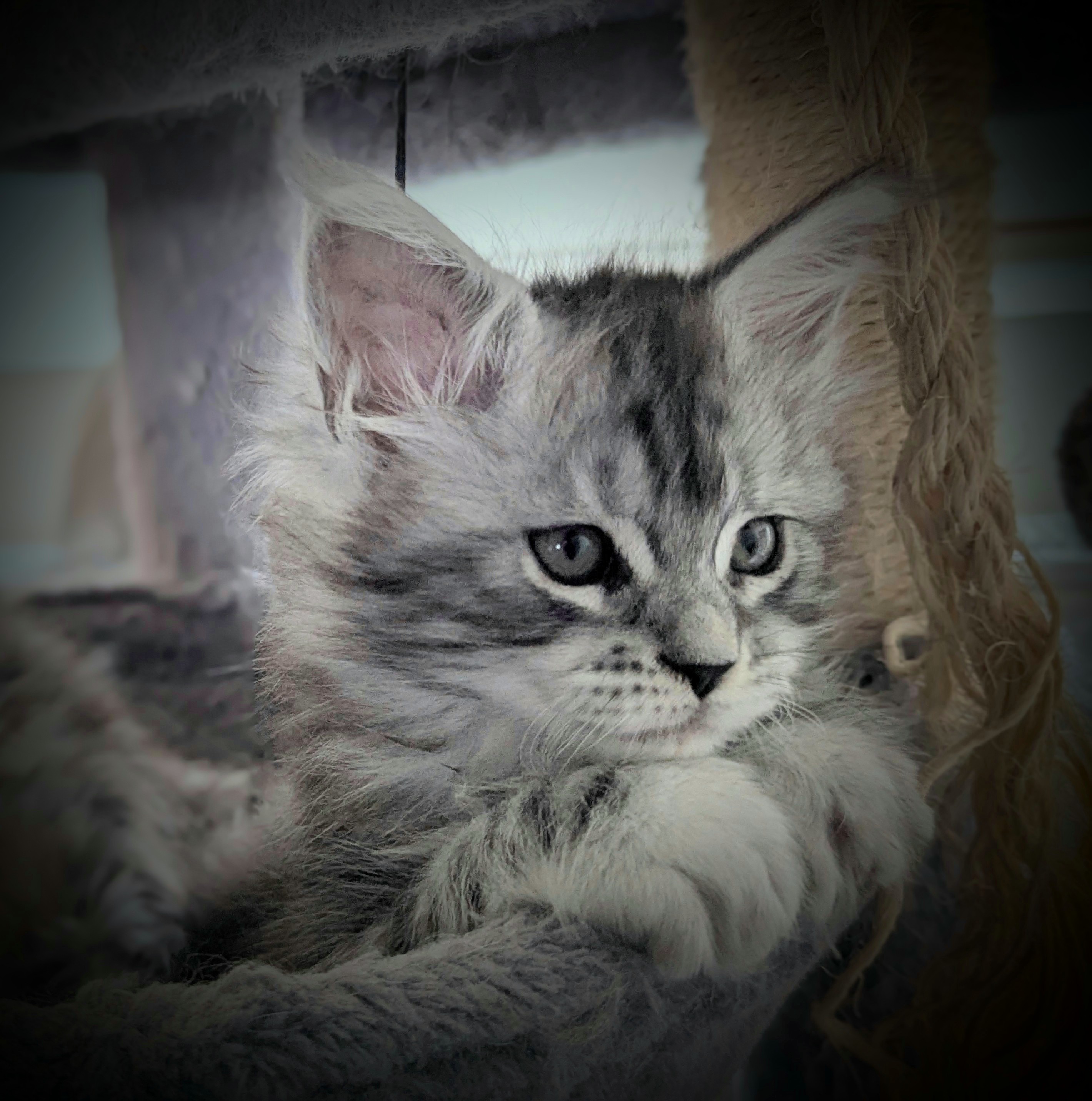 Pxl 20251031 110405457-portrait-3