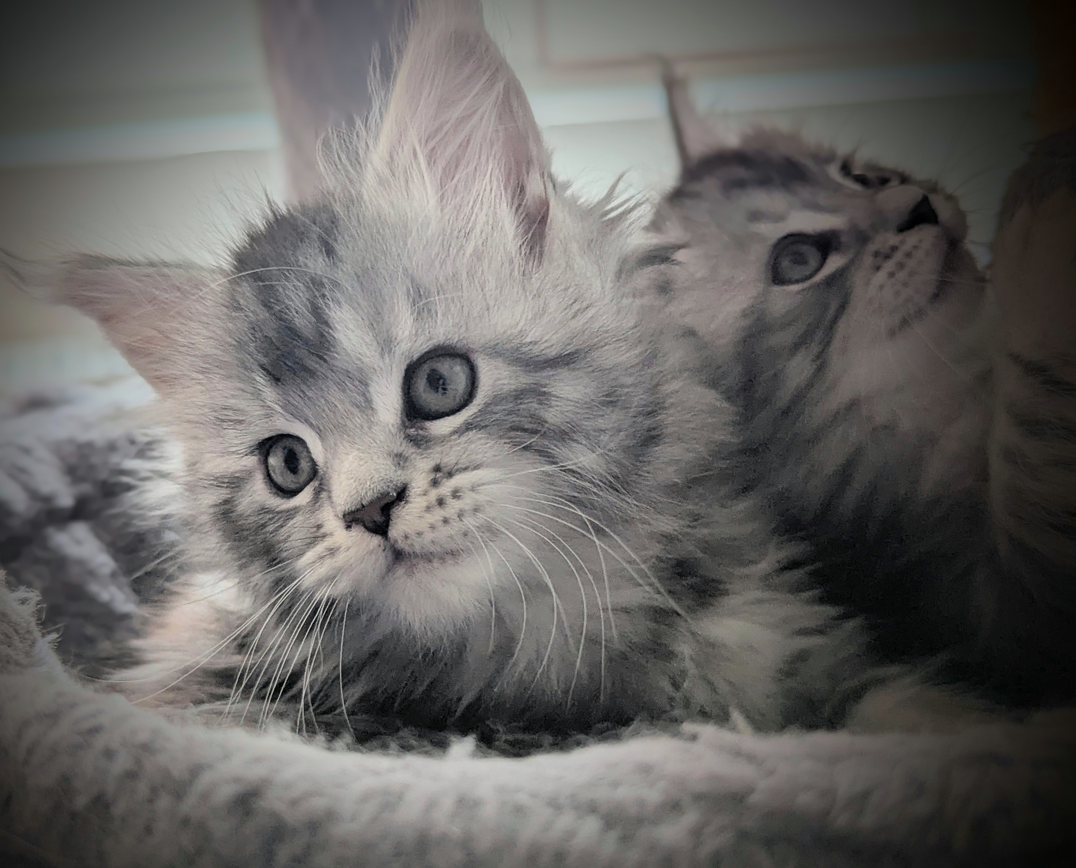 Pxl 20251031 110321357-portrait-2