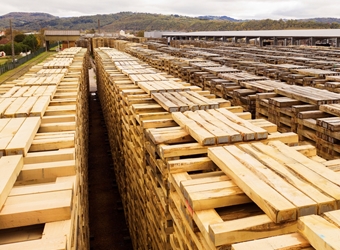 L’avenir du rail, au naturel