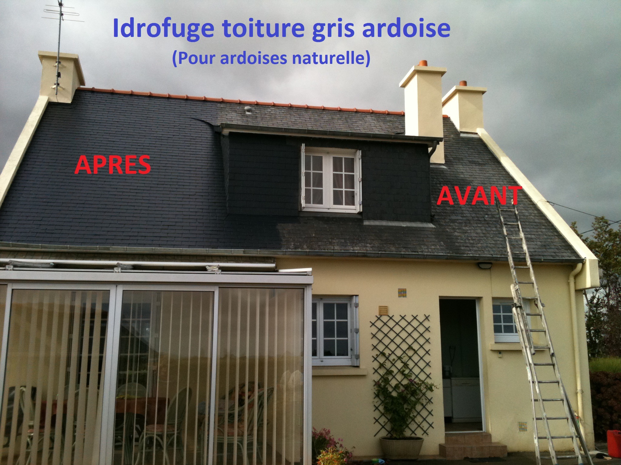 244 copie copie copie 2 