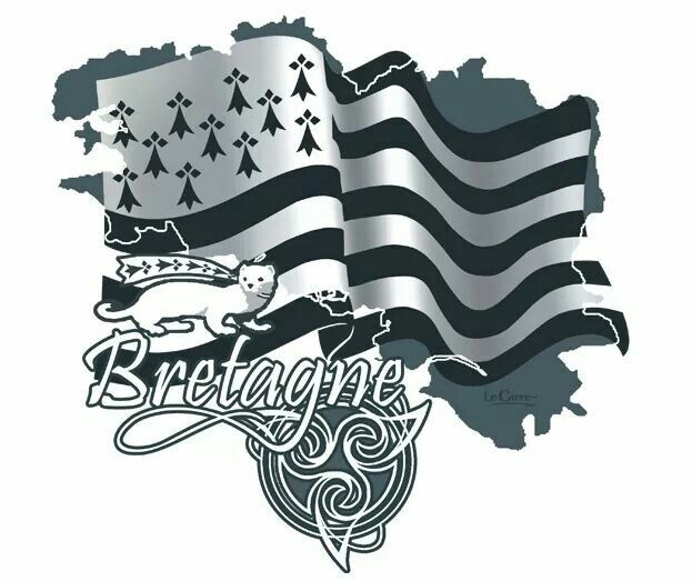 311692452 3449007312012361 5479419511675928366 n