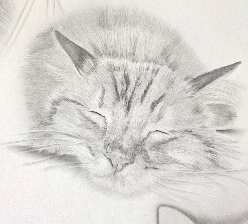 Pxl 20251105 103843605 2