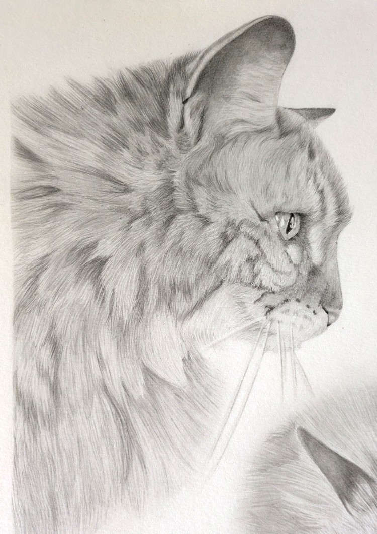 Pxl 20251105 103836017 2