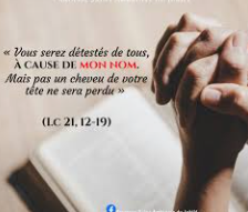 Capture-d-ecran-2025-11-05-140318