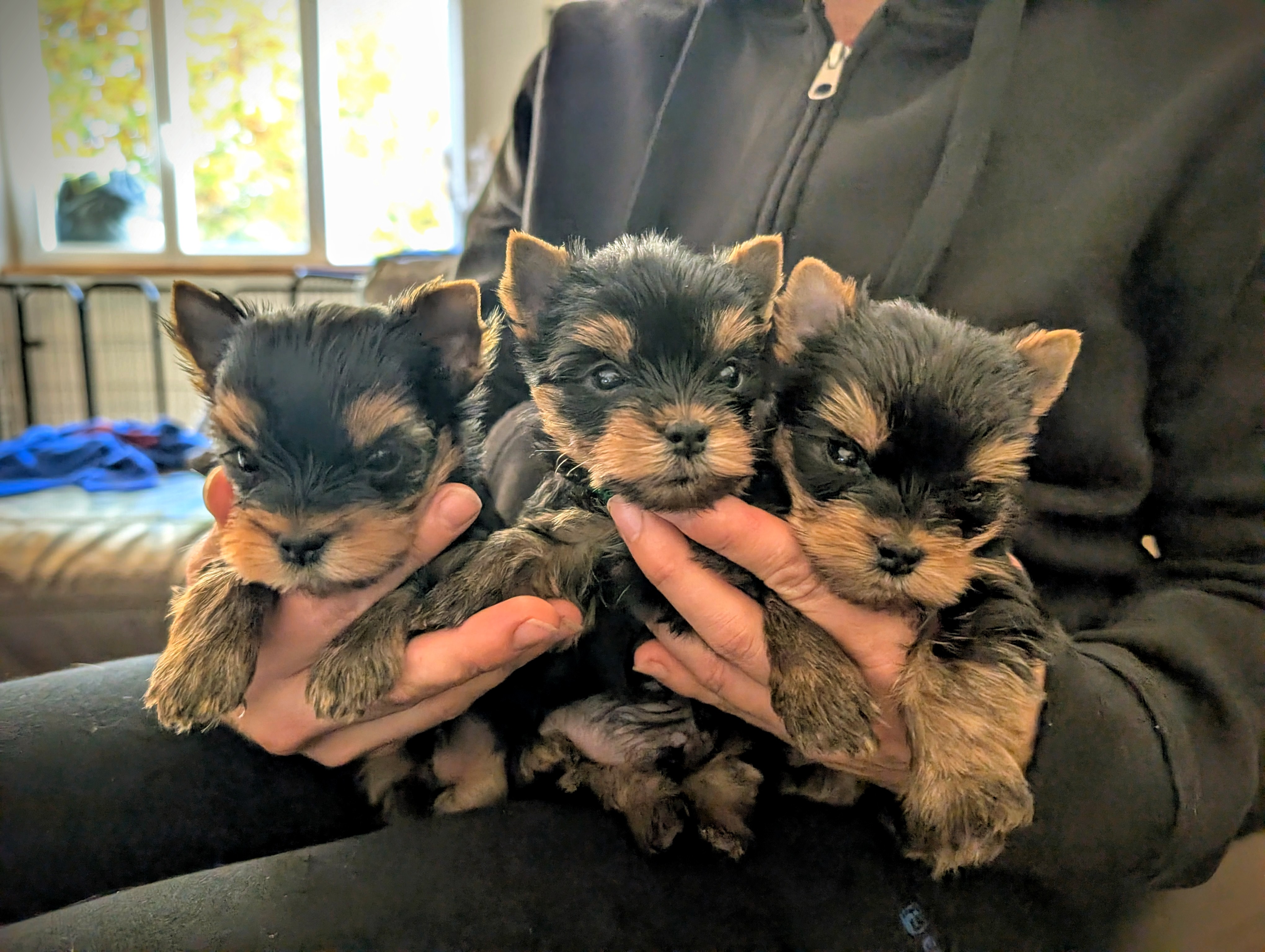 Pxl 20251102 150710843 2