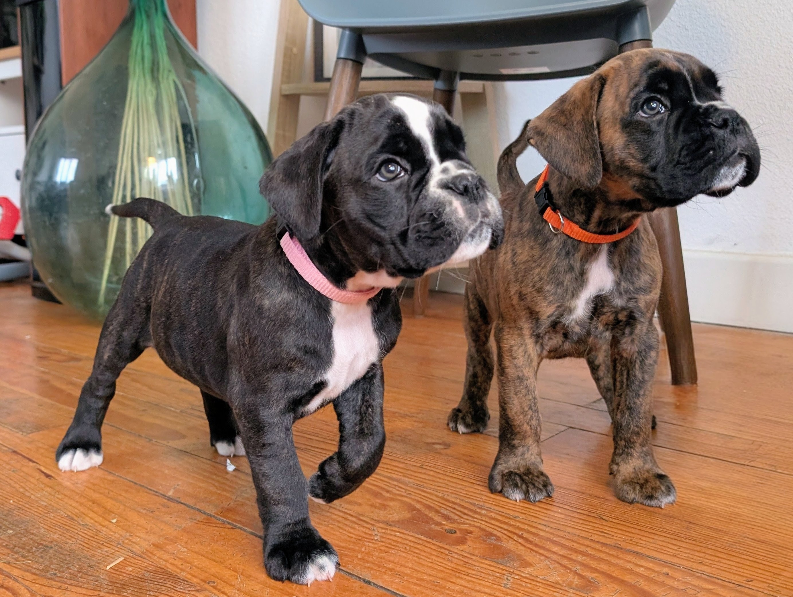 Pxl 20251019 092755687 3