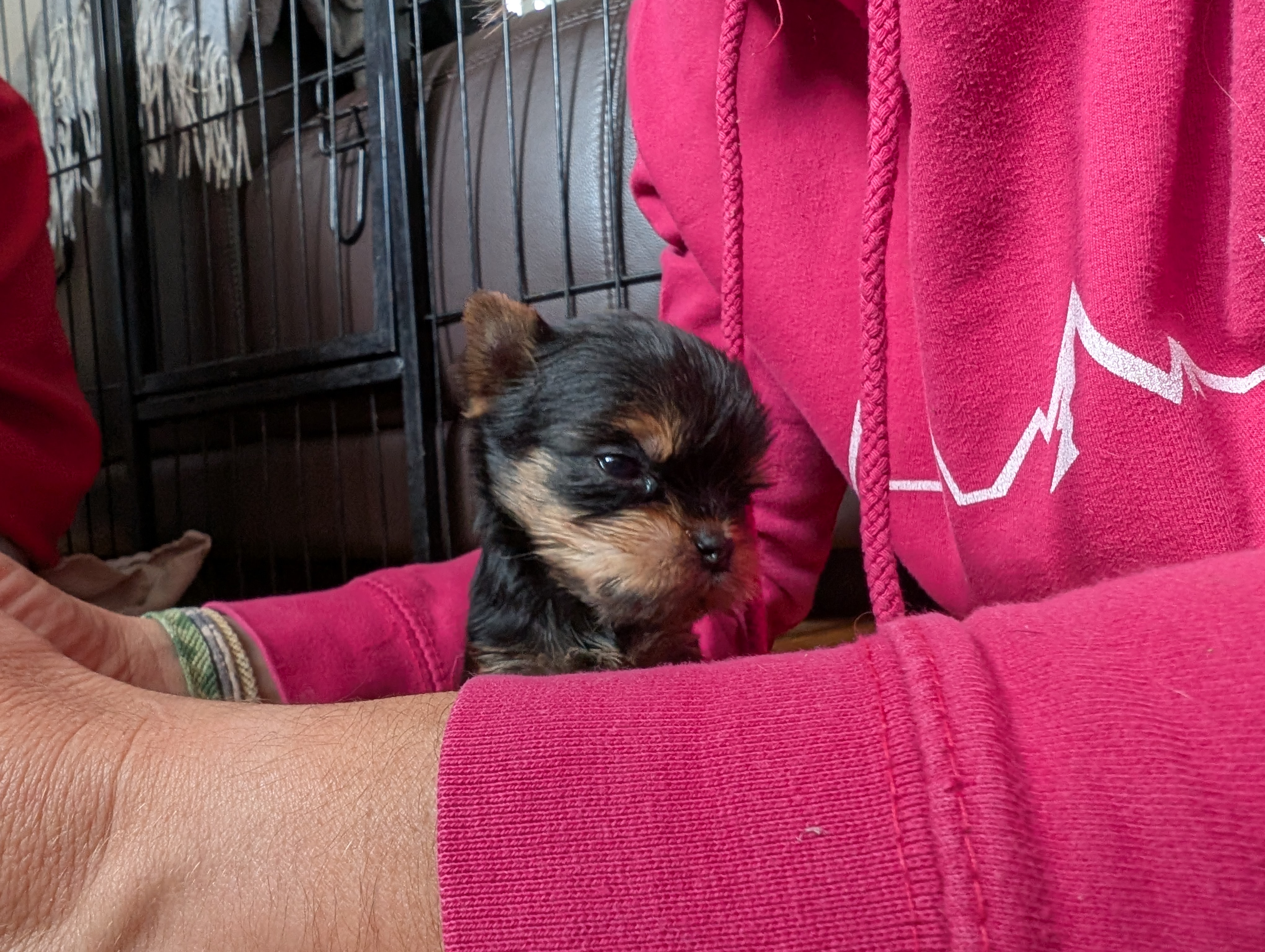 Pxl 20251026 131128073