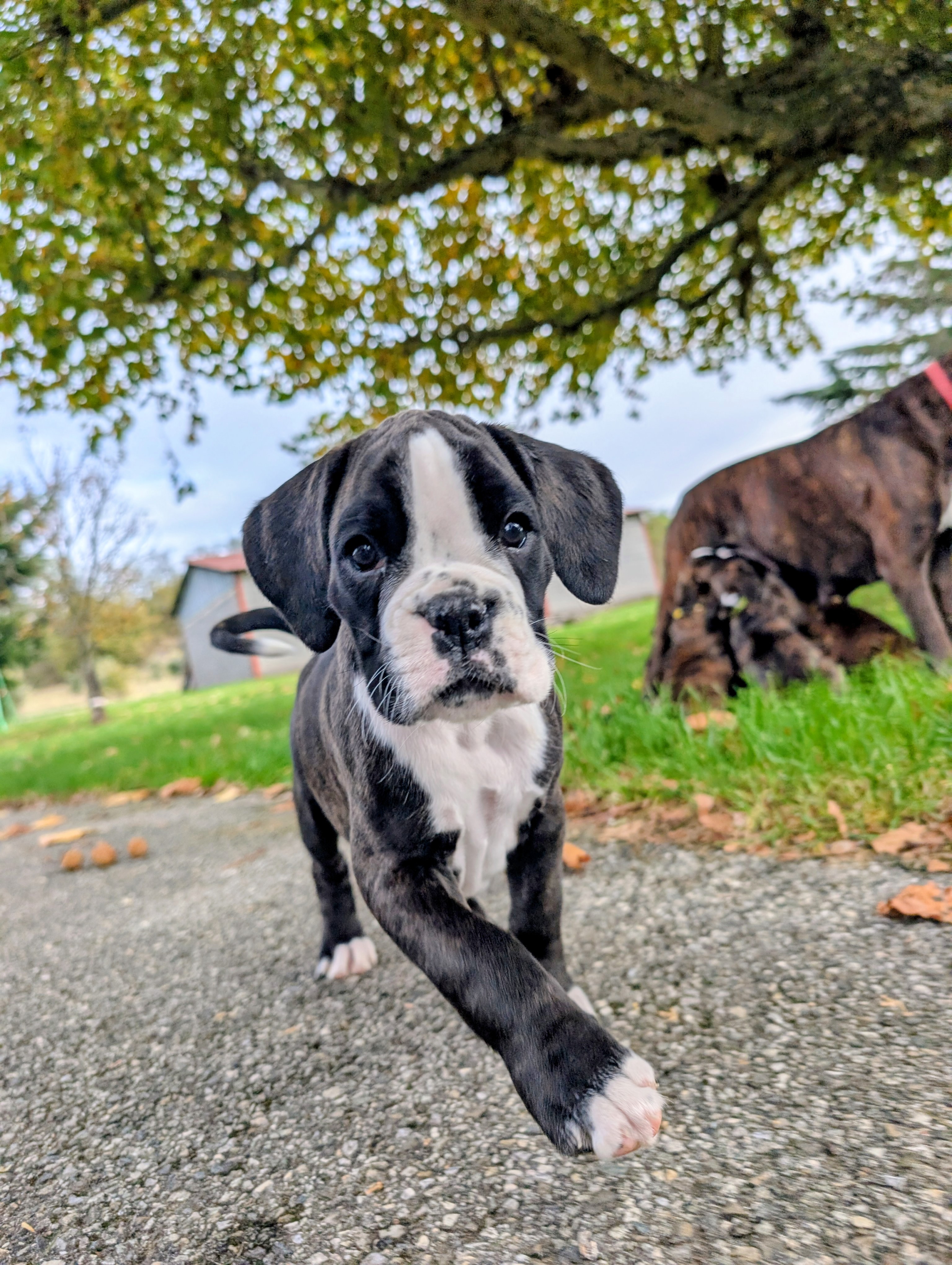 Pxl 20251024 133319091 2