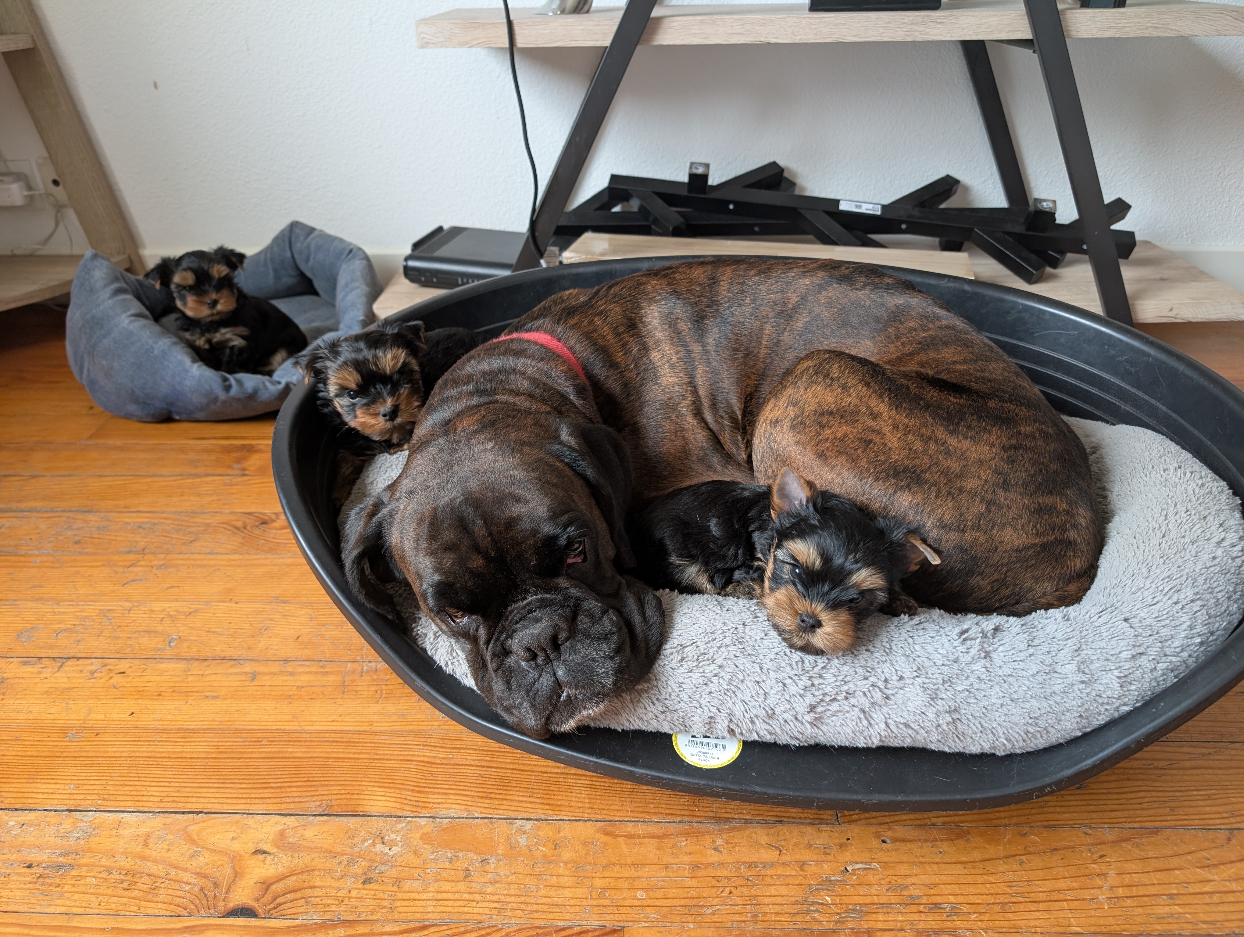 Pxl 20250222 134029515