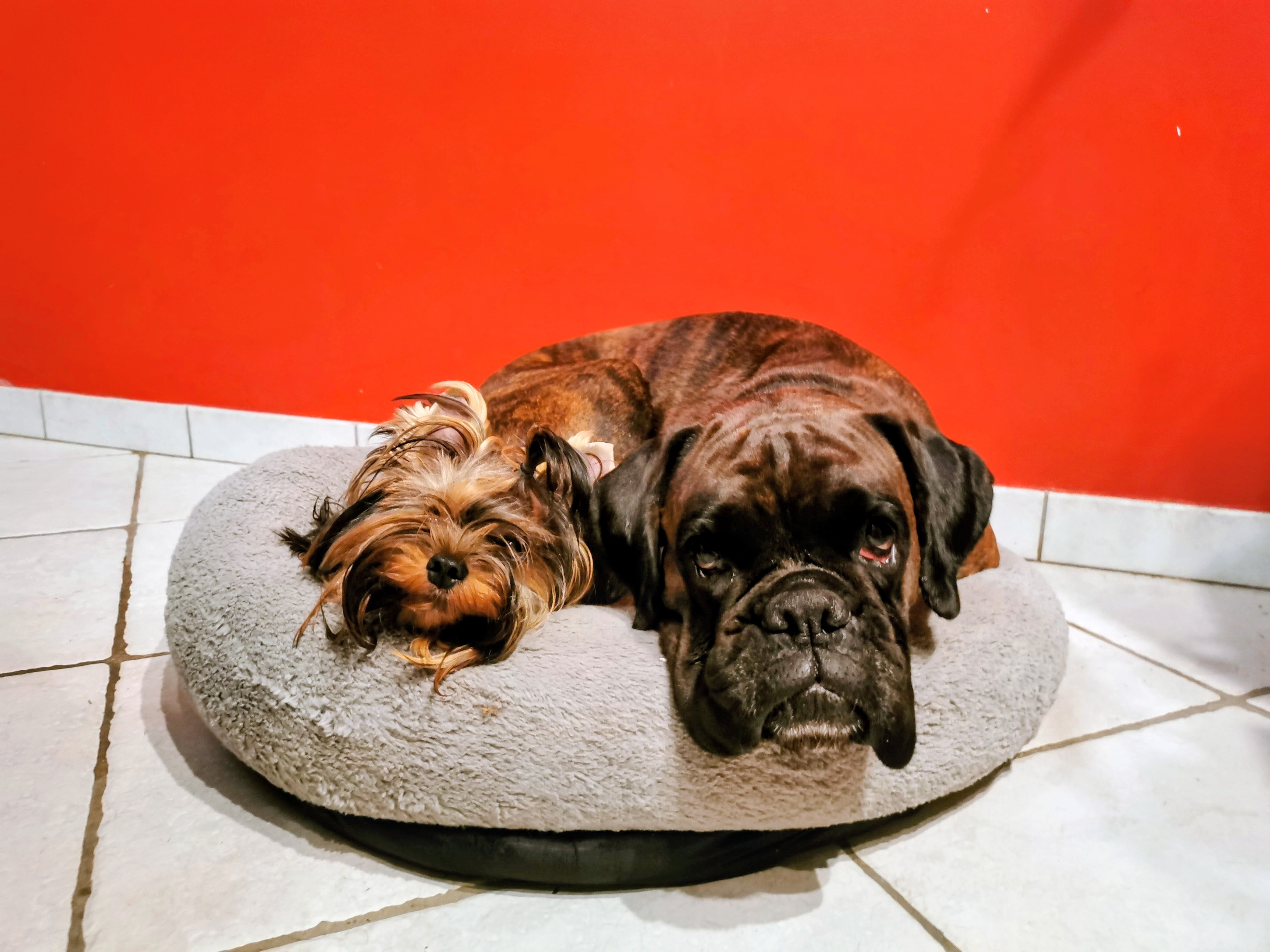 Img 20240922 200945 2