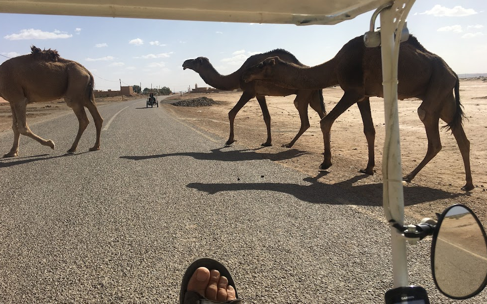 Capture-decran-de-2025-04-16-08-42-16