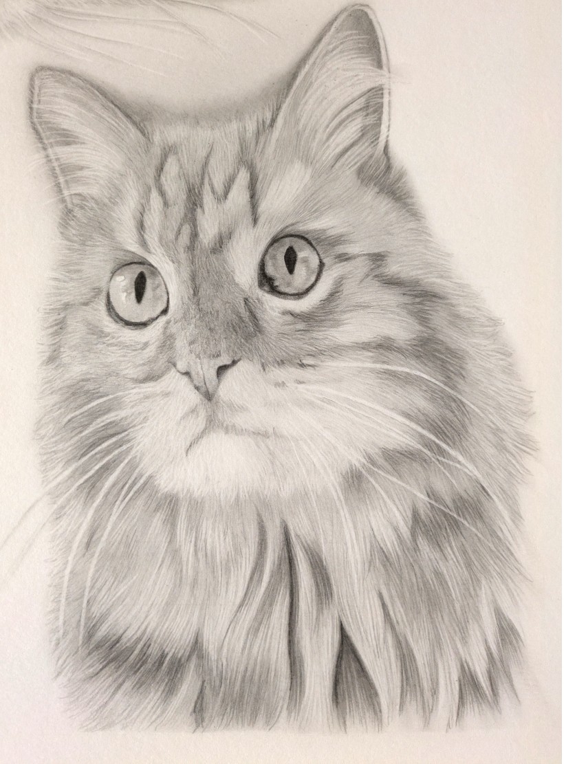 Pxl 20251107 083403696