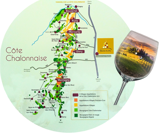 Texte-degustations-2-