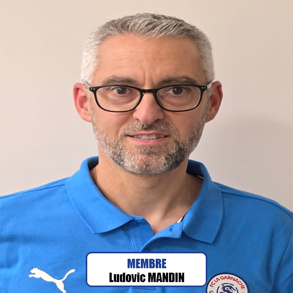 Ludovic mandin