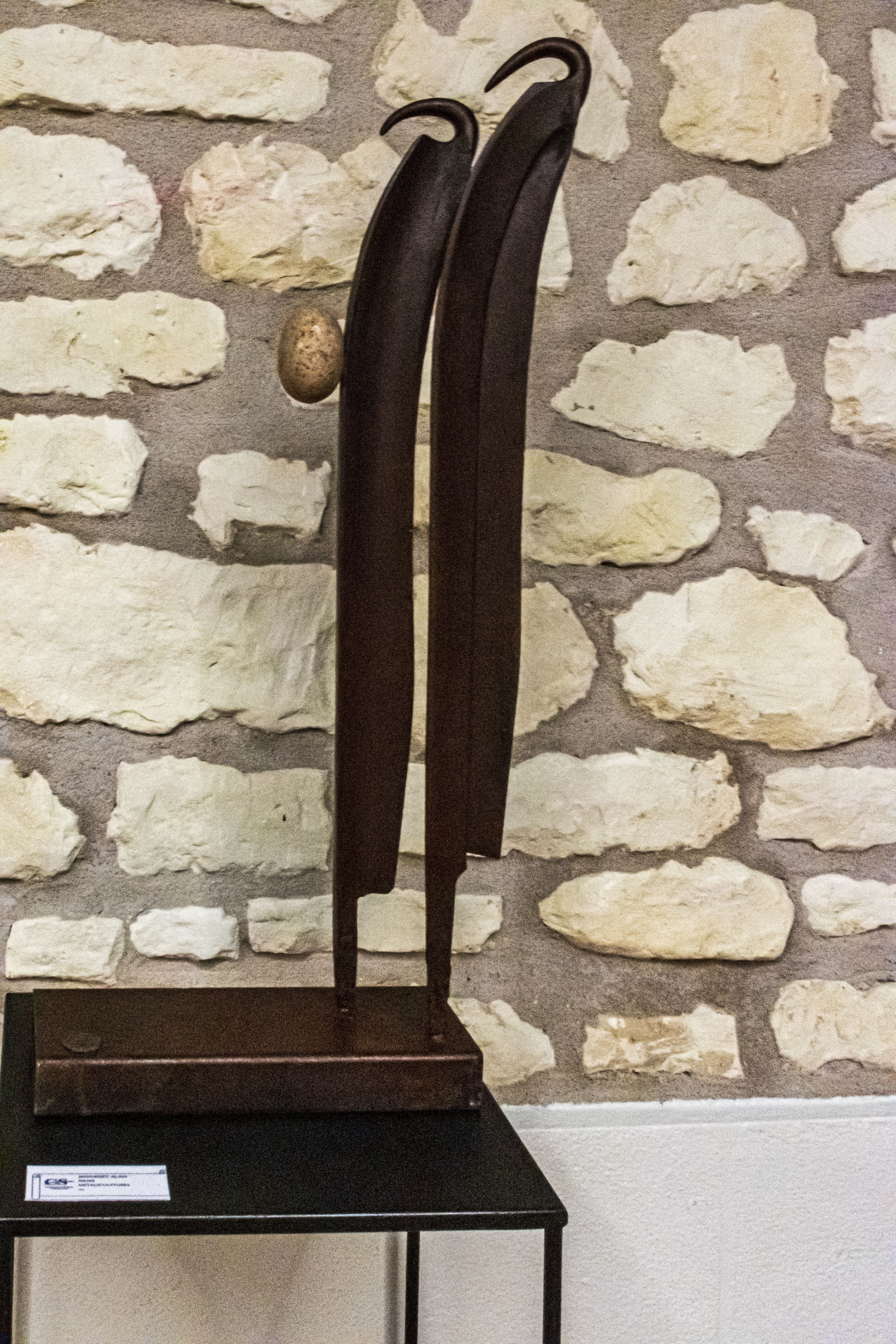 20251009 d5600 nik 4121