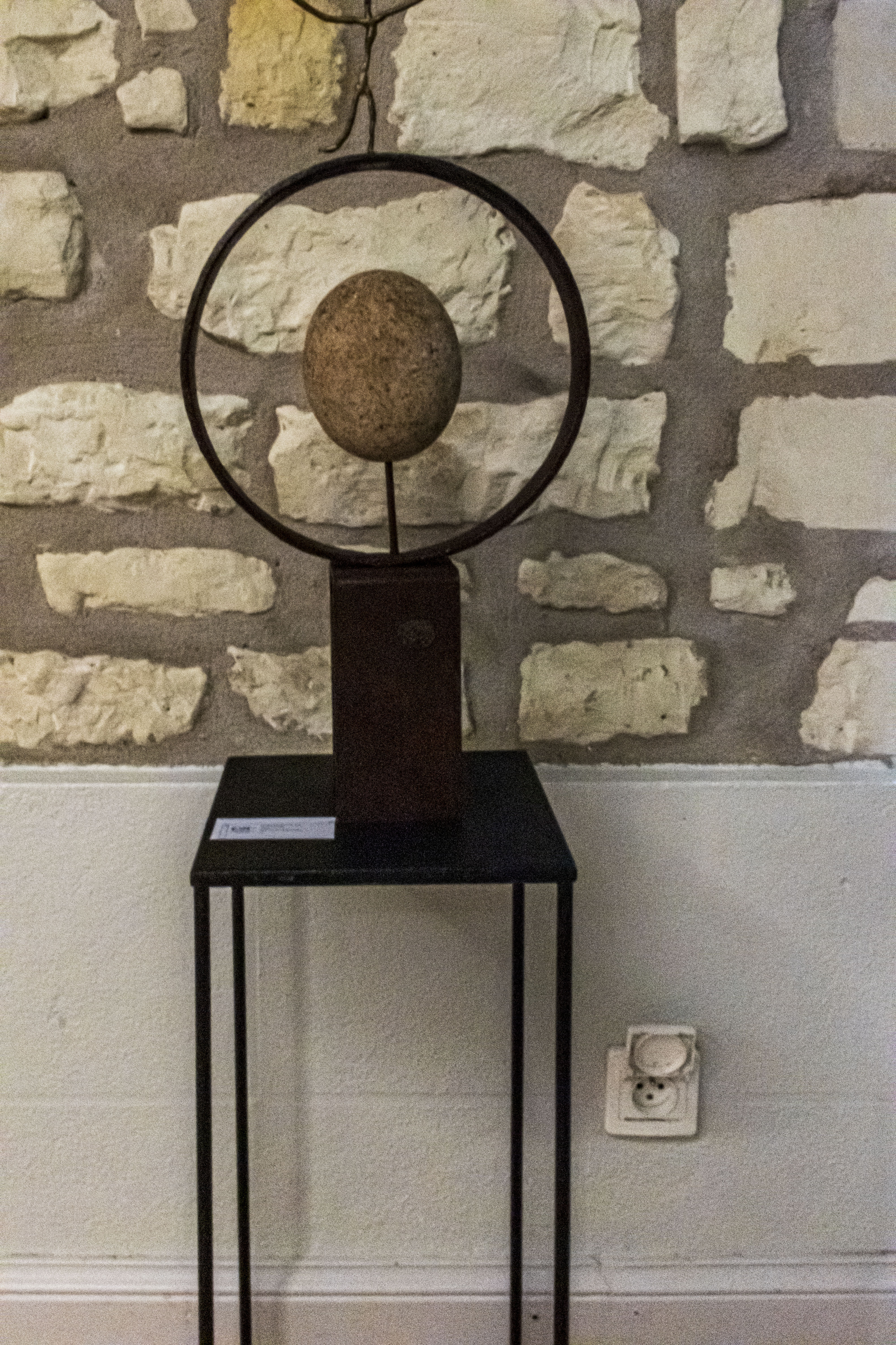 20251009 d5600 nik 4120