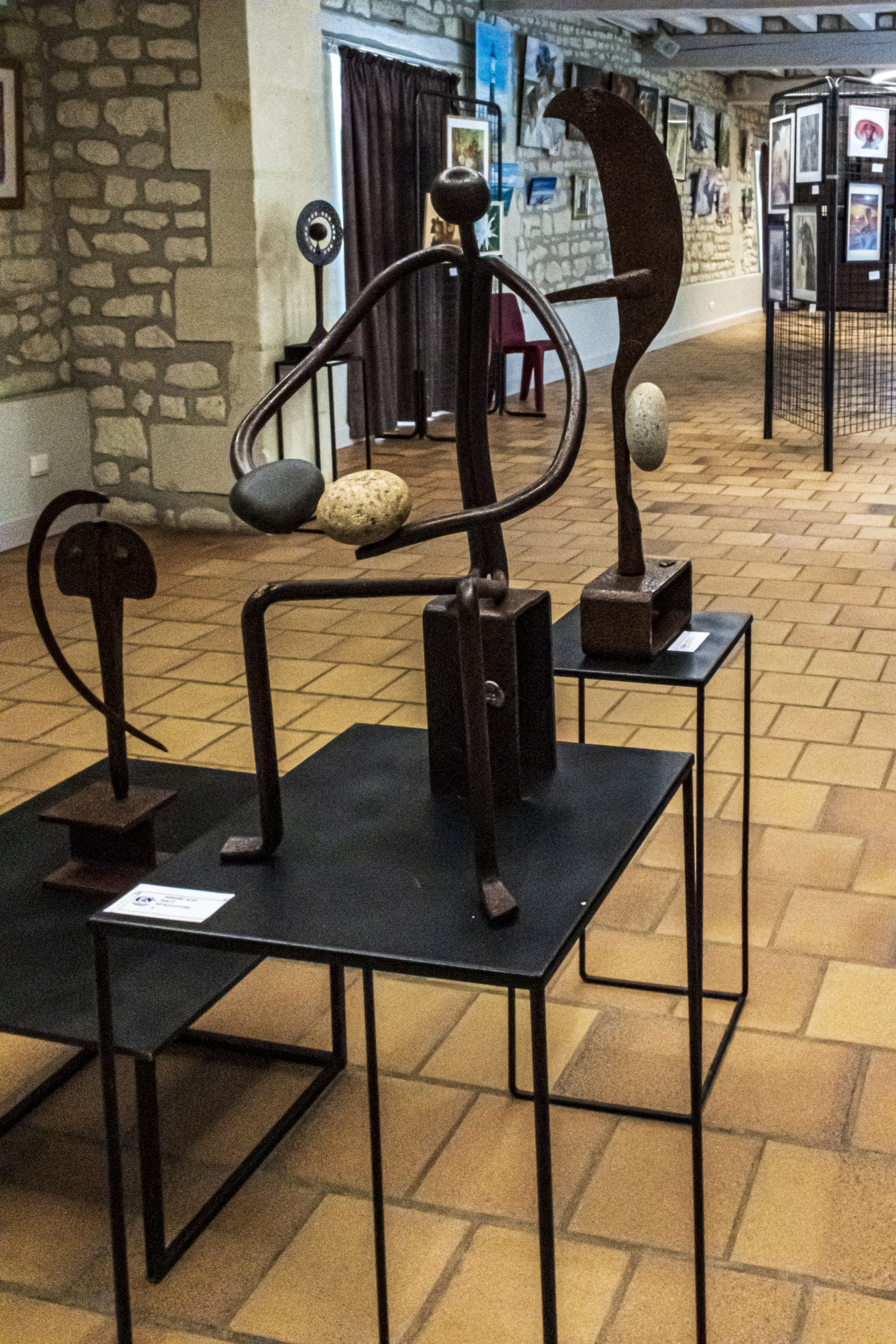 20251009 d5600 nik 4119