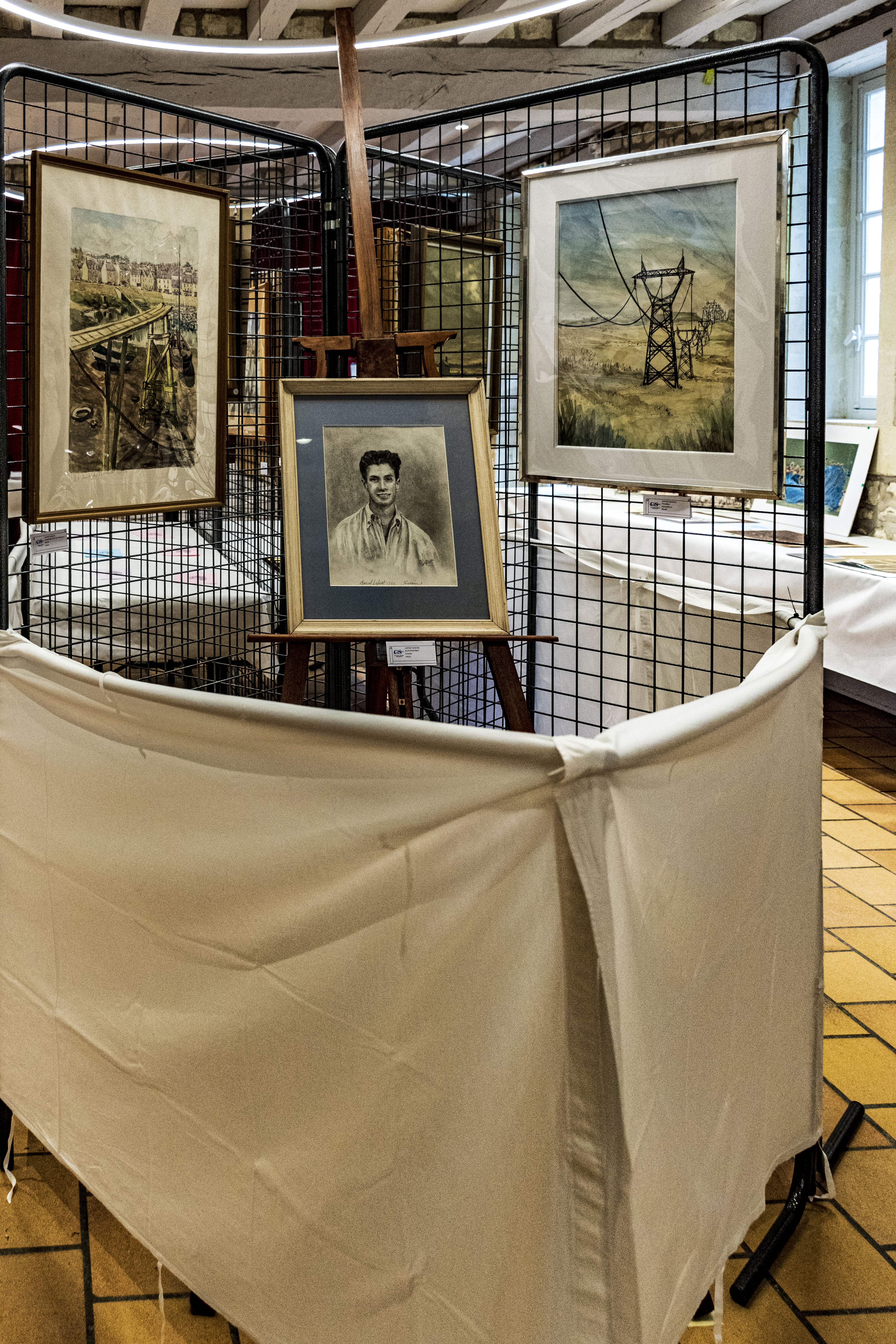 20251009 D5600 NIK 4200