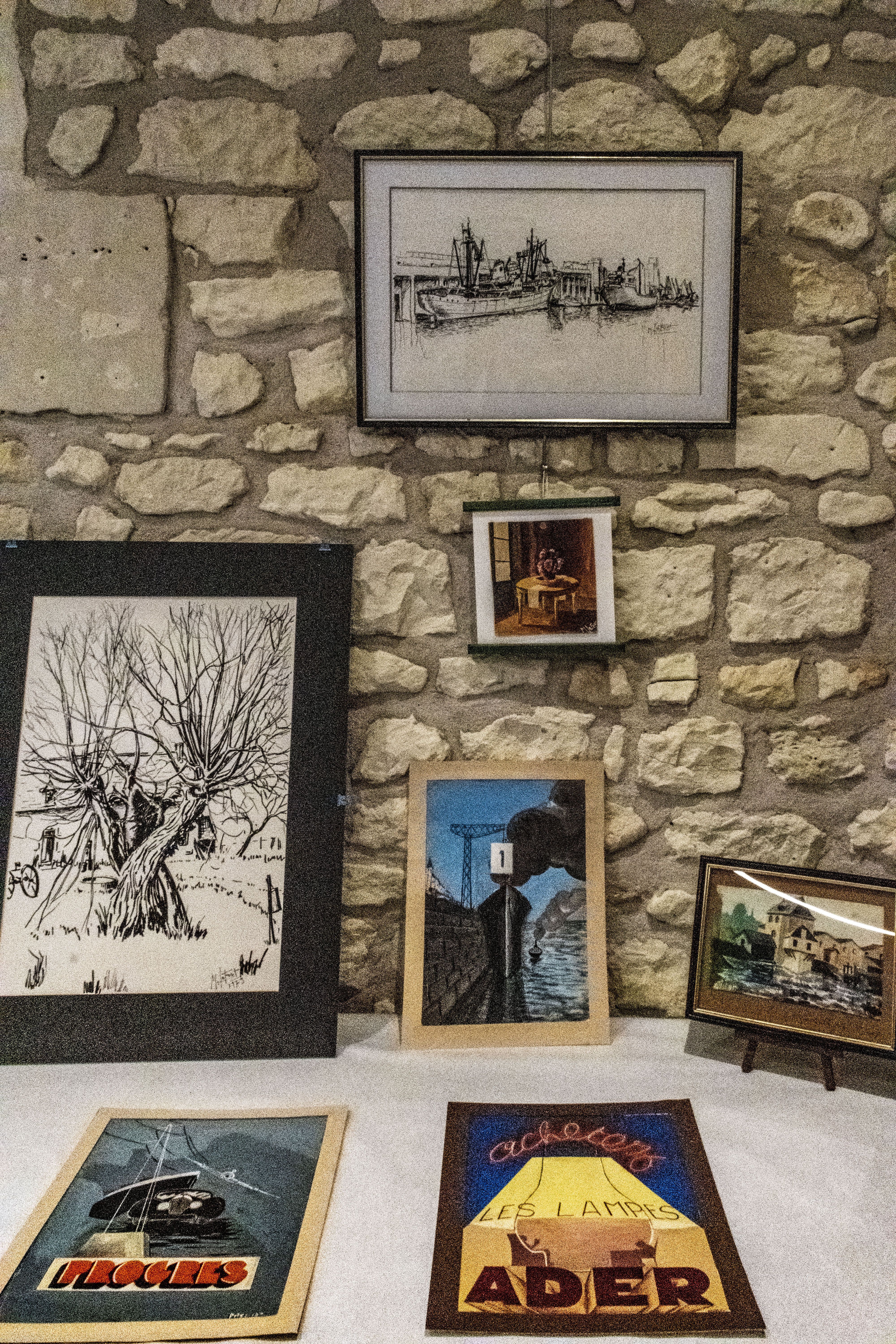 20251009 d5600 nik 4169