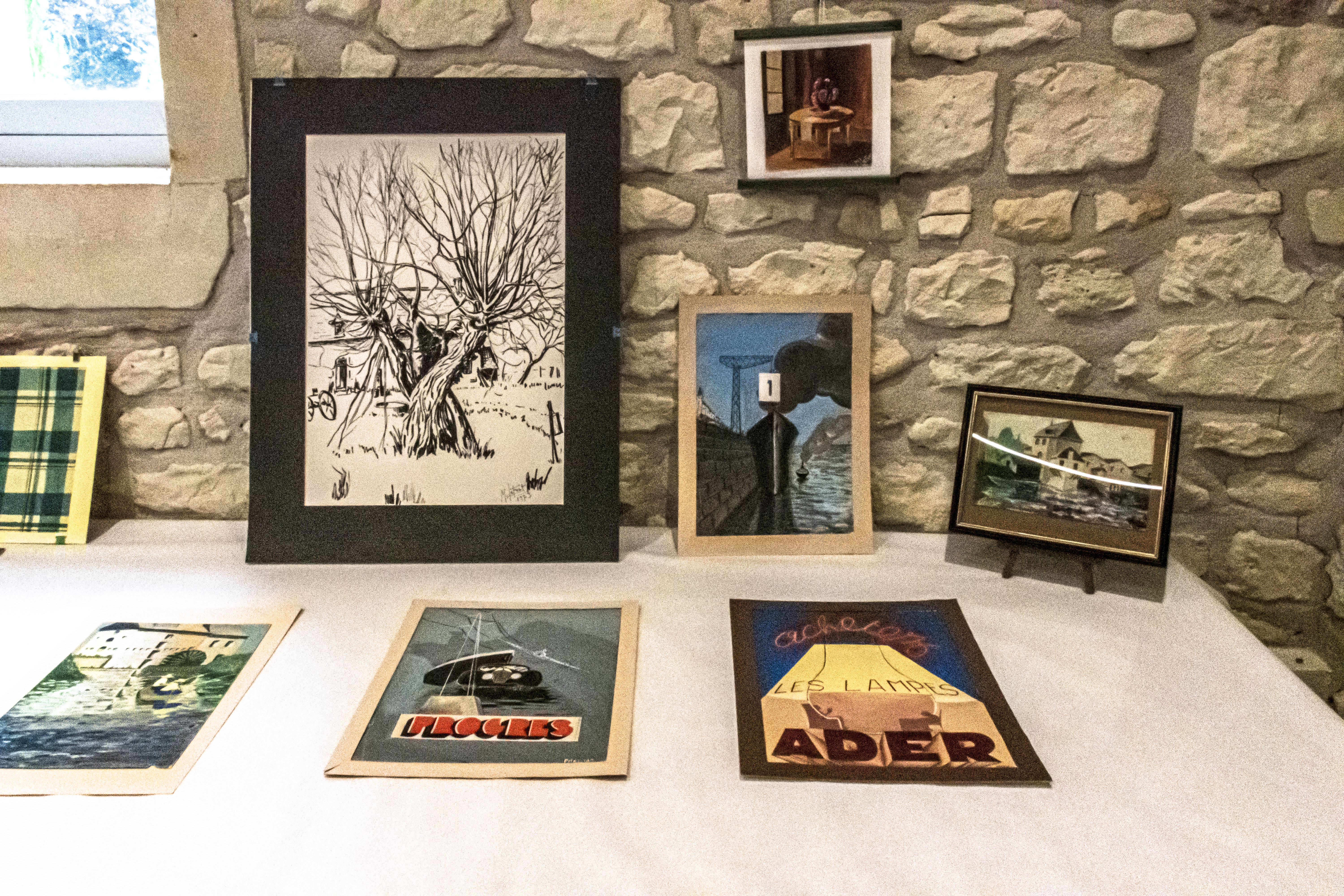 20251009 d5600 nik 4168