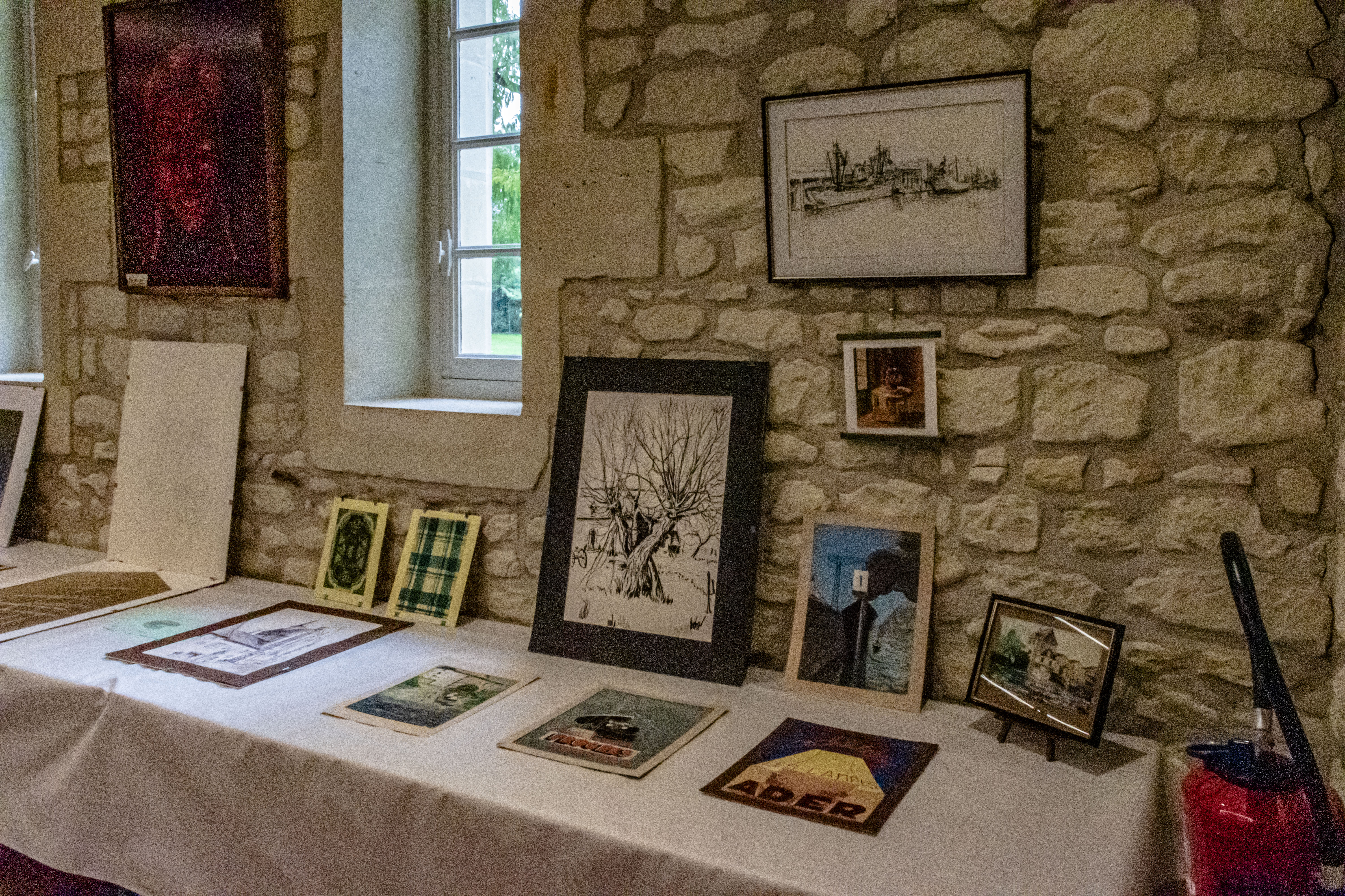 20251009 d5600 nik 4160