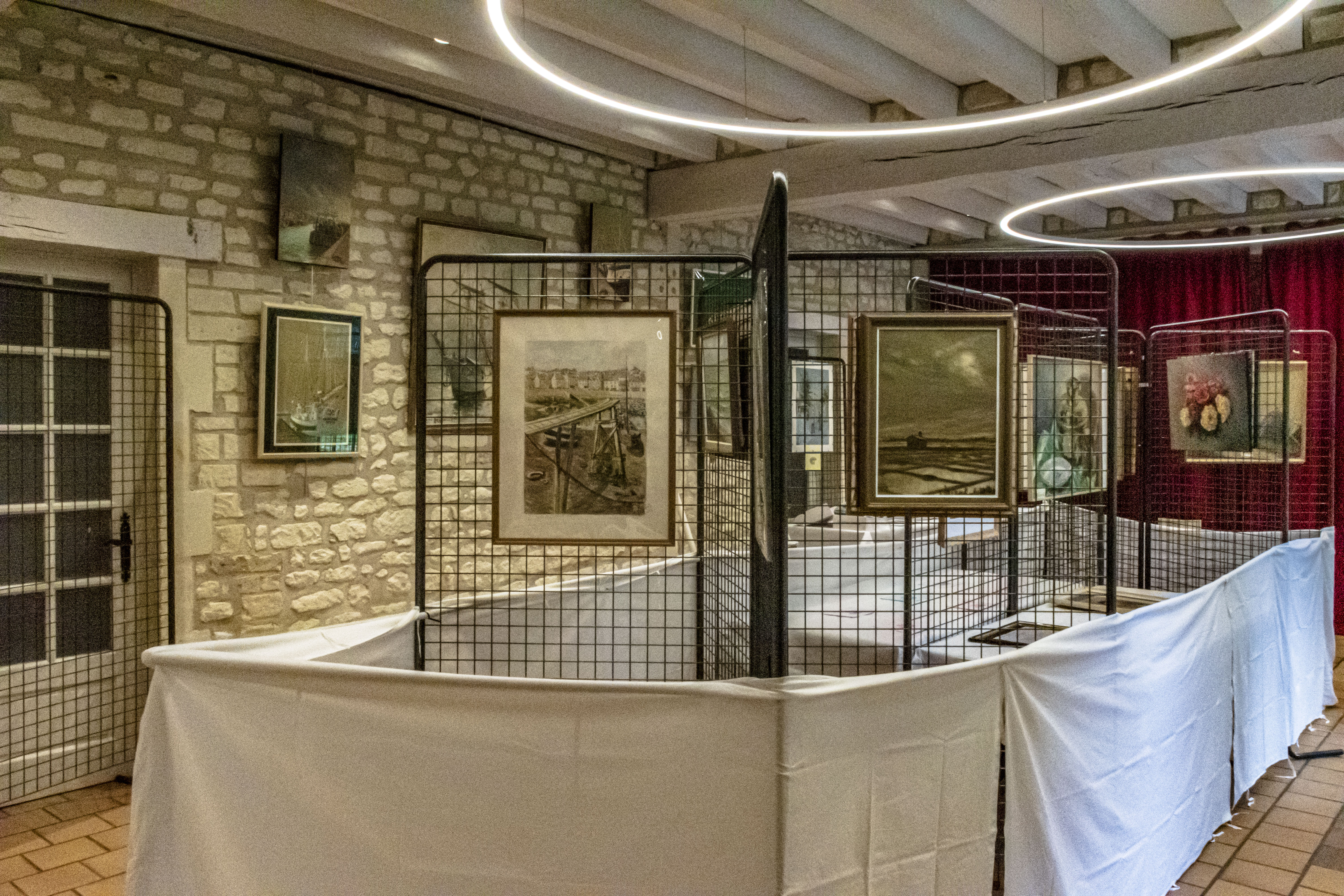 20251009 D5600 NIK 4159