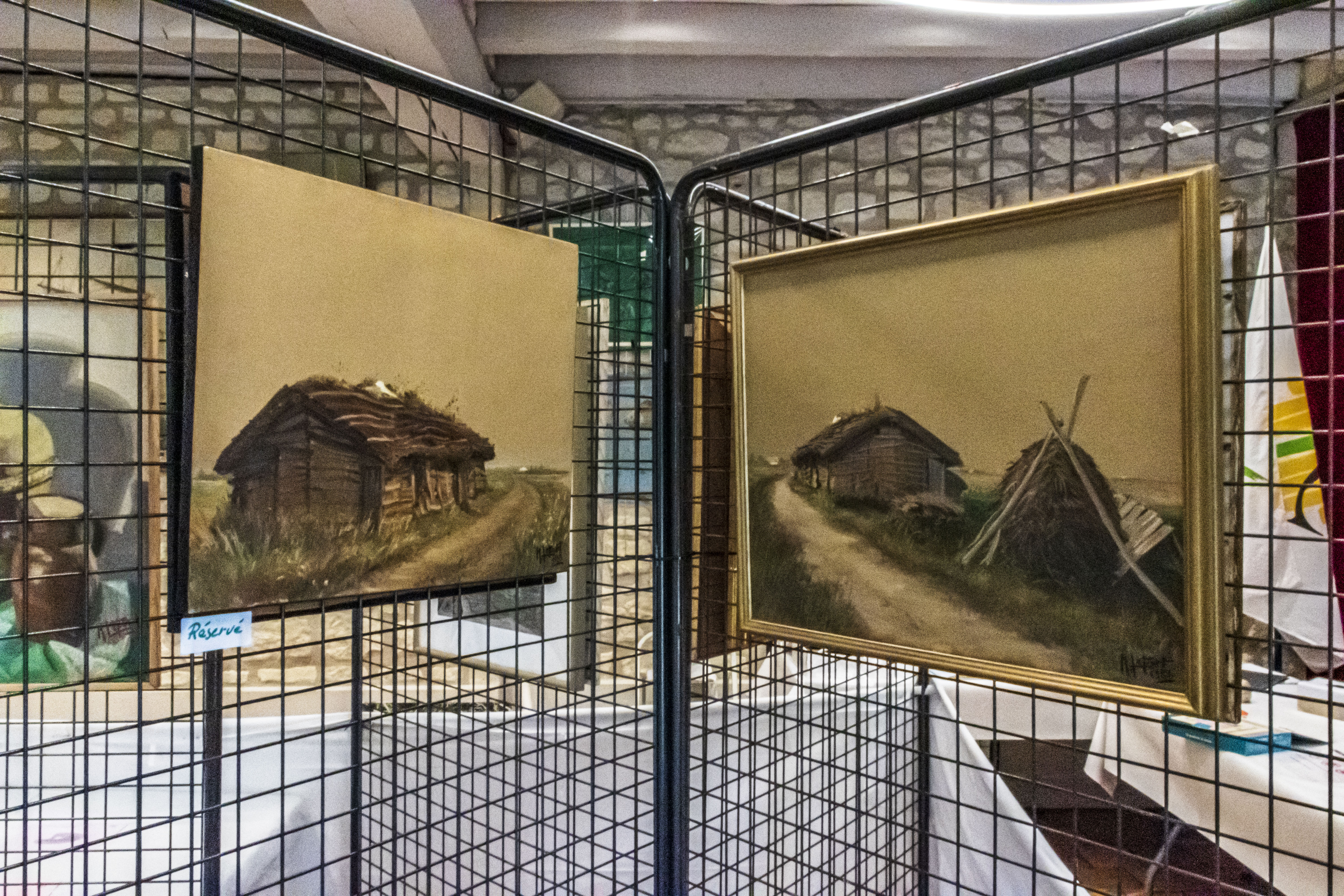 20251009 d5600 nik 4150