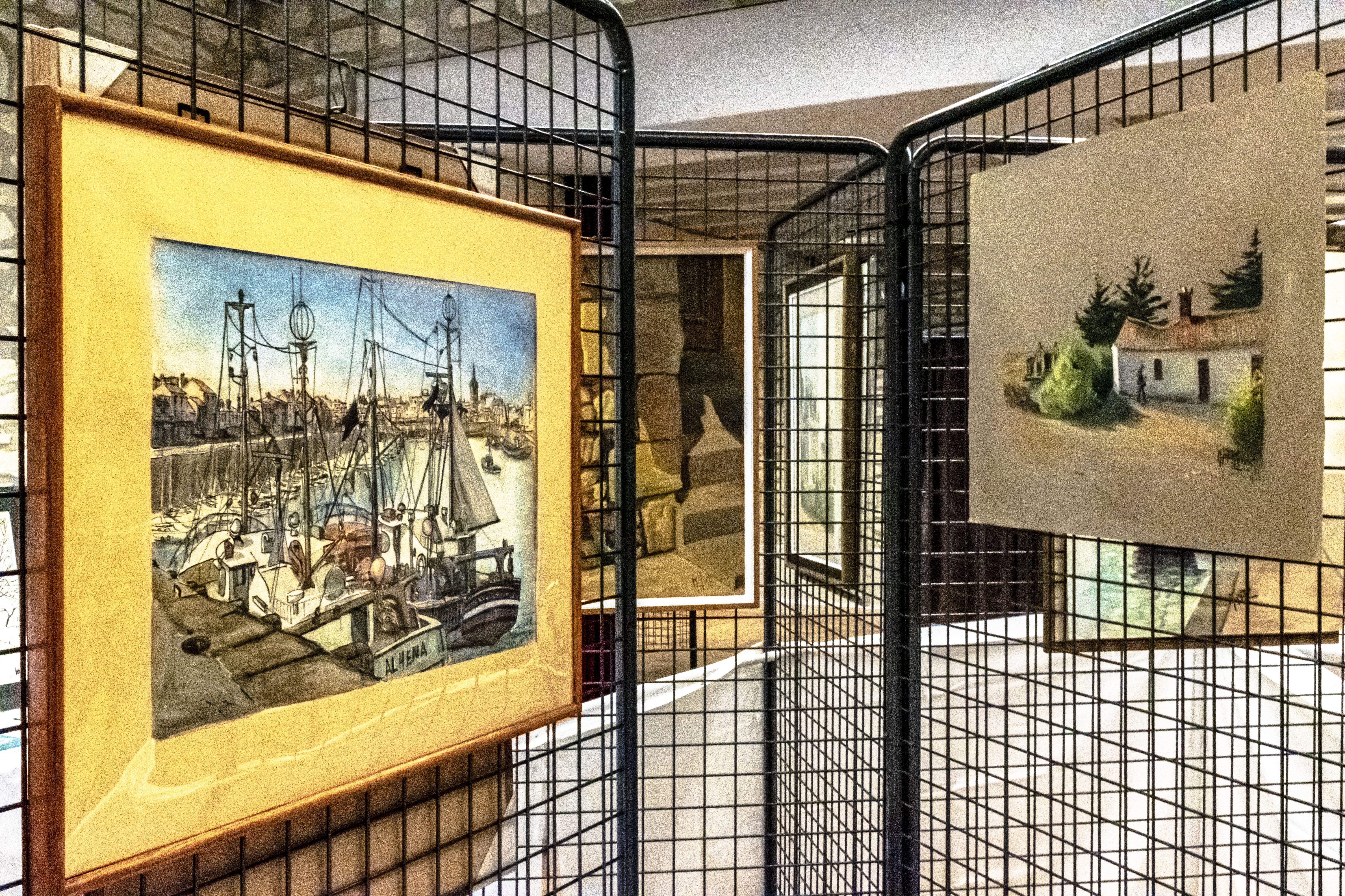 20251009 d5600 nik 4149