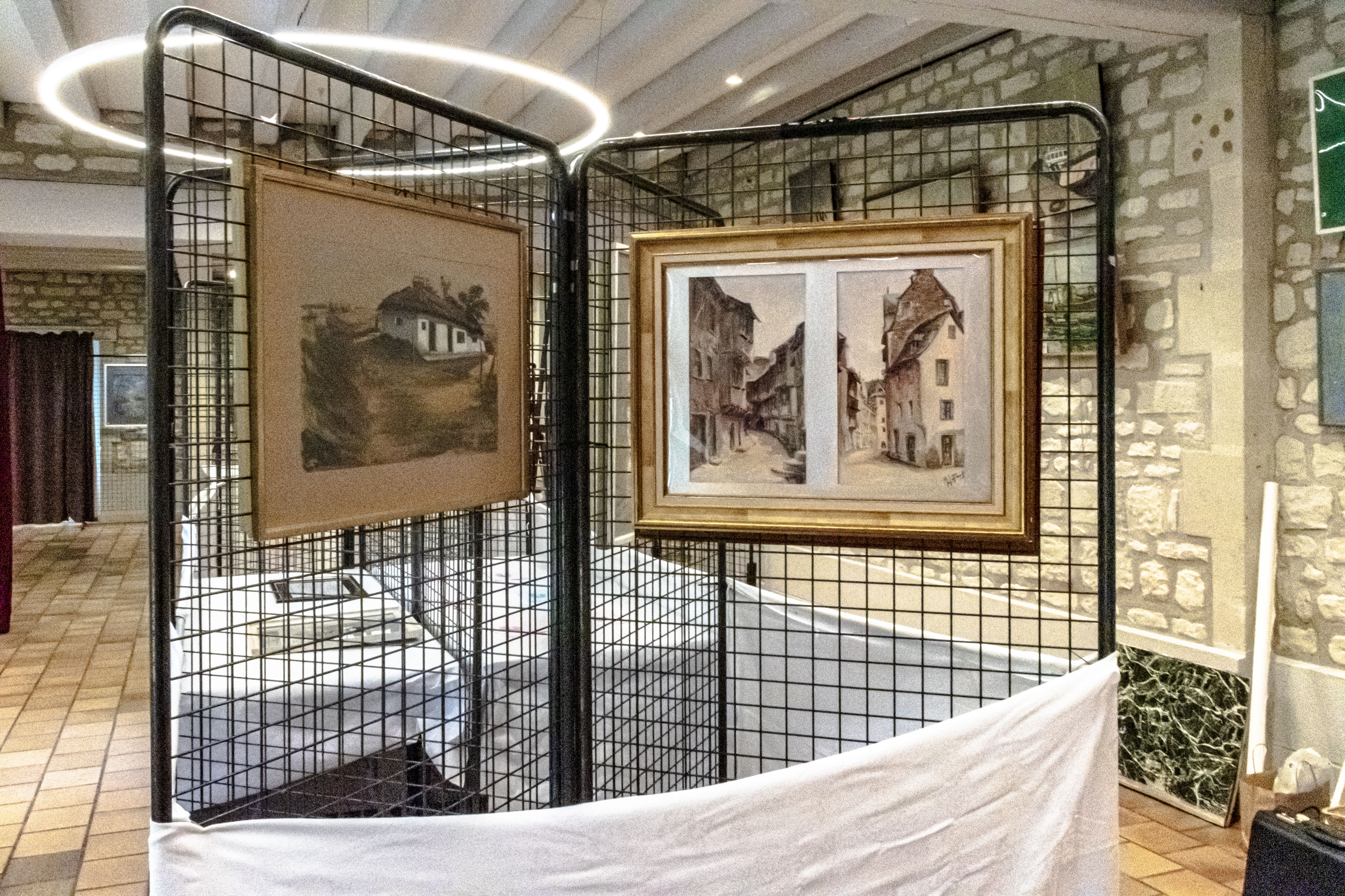 20251009 d5600 nik 4140