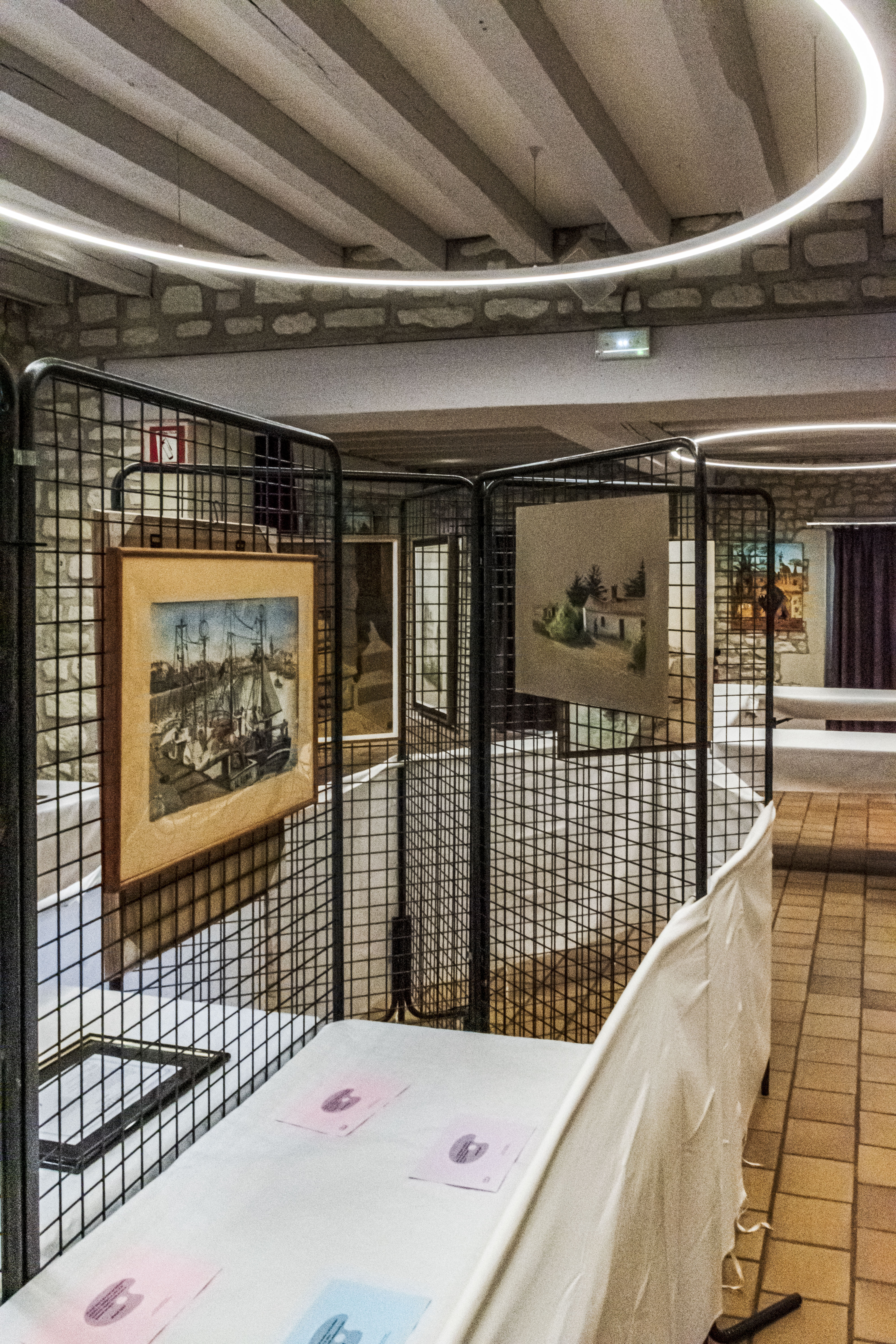 20251009 d5600 nik 4139