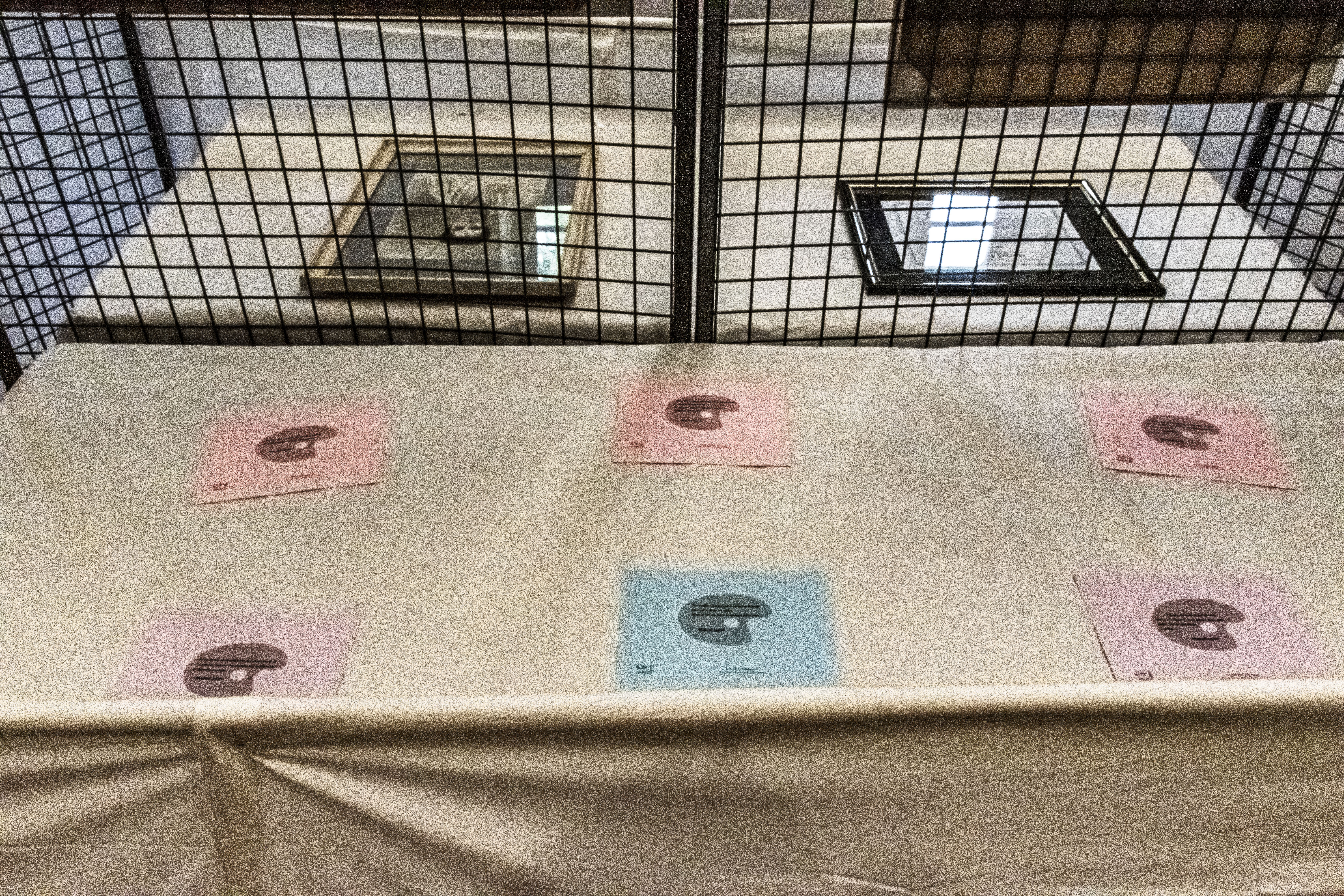 20251009 d5600 nik 4138