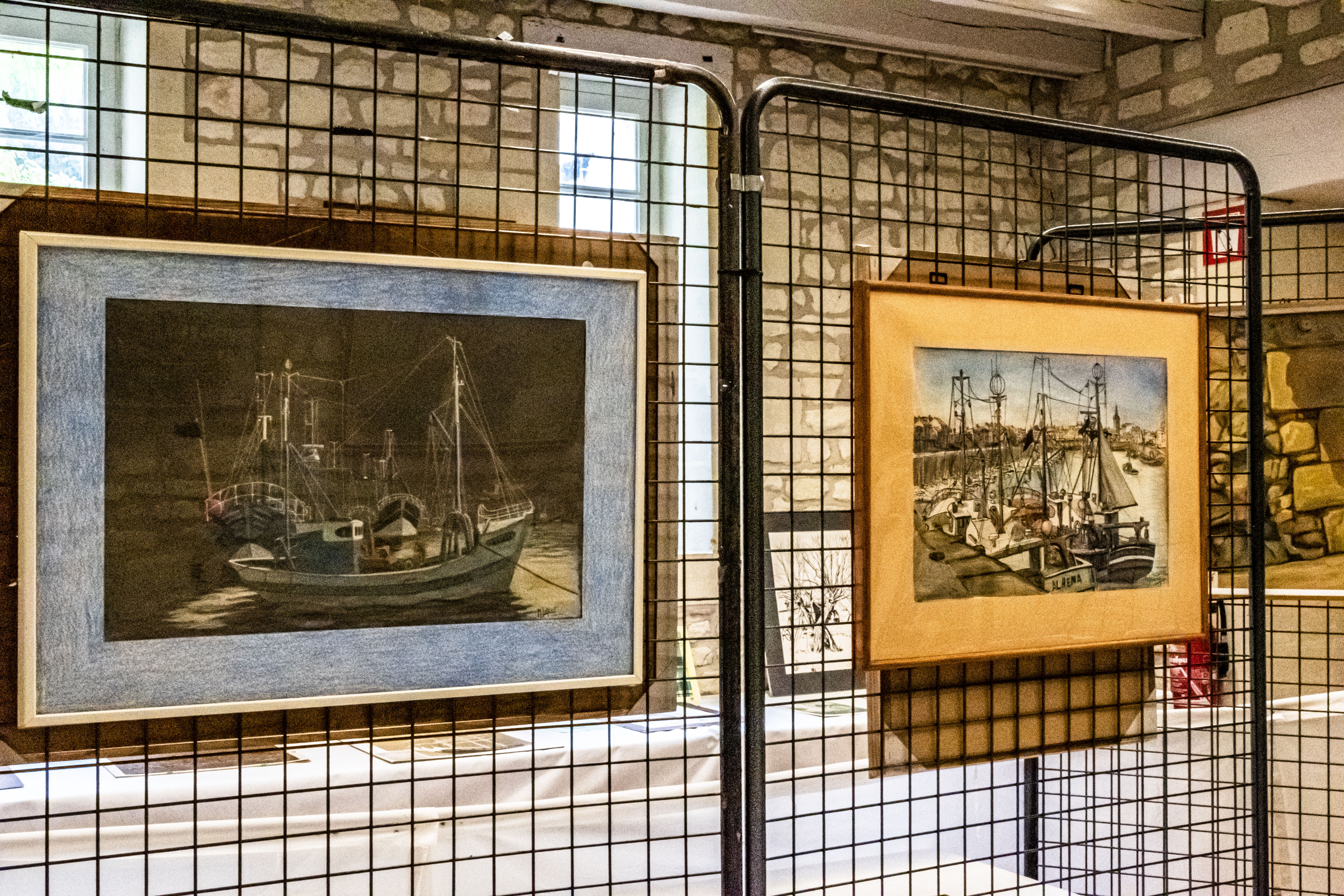 20251009 d5600 nik 4137