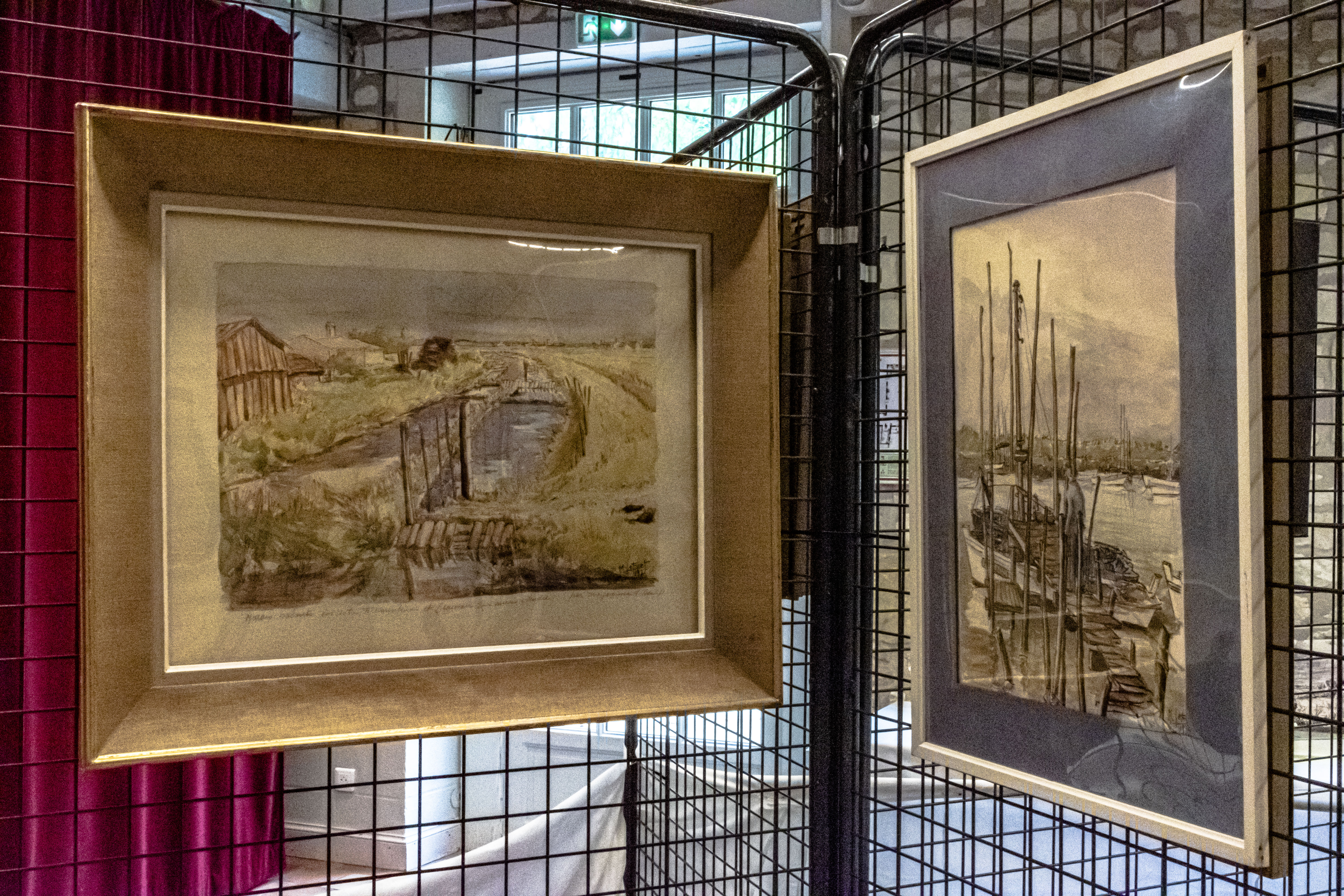 20251009 d5600 nik 4136