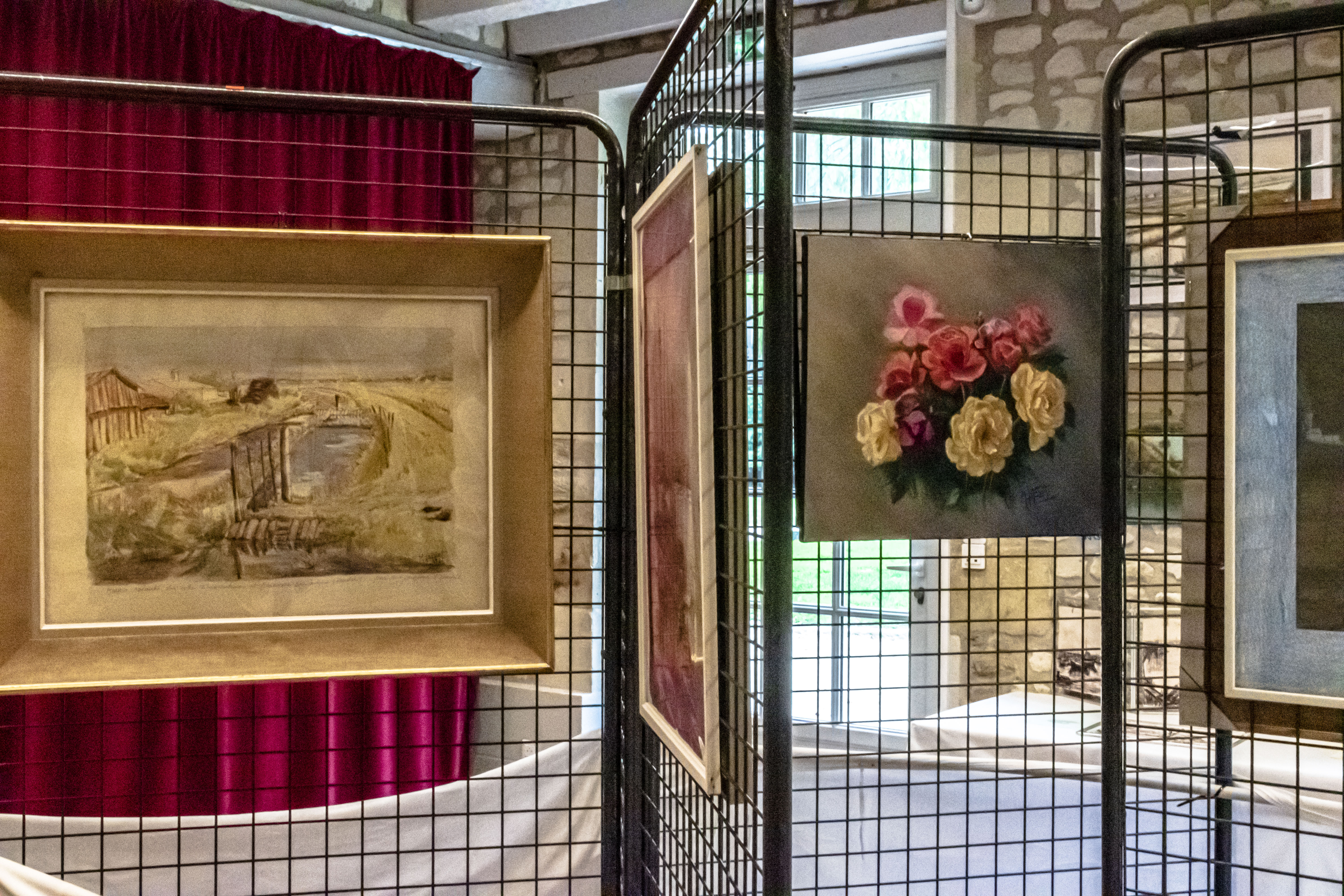 20251009 d5600 nik 4135