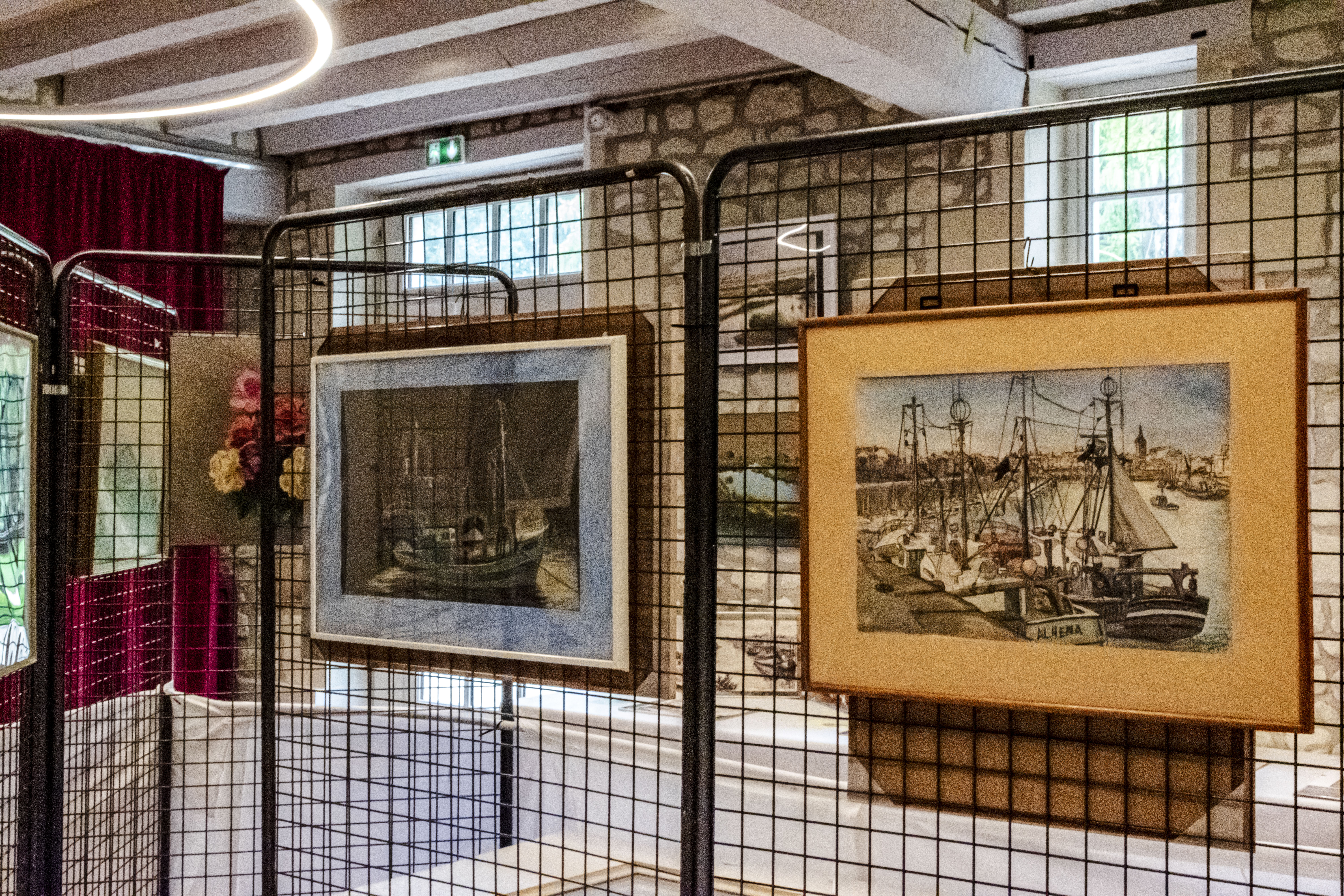 20251009 d5600 nik 4134