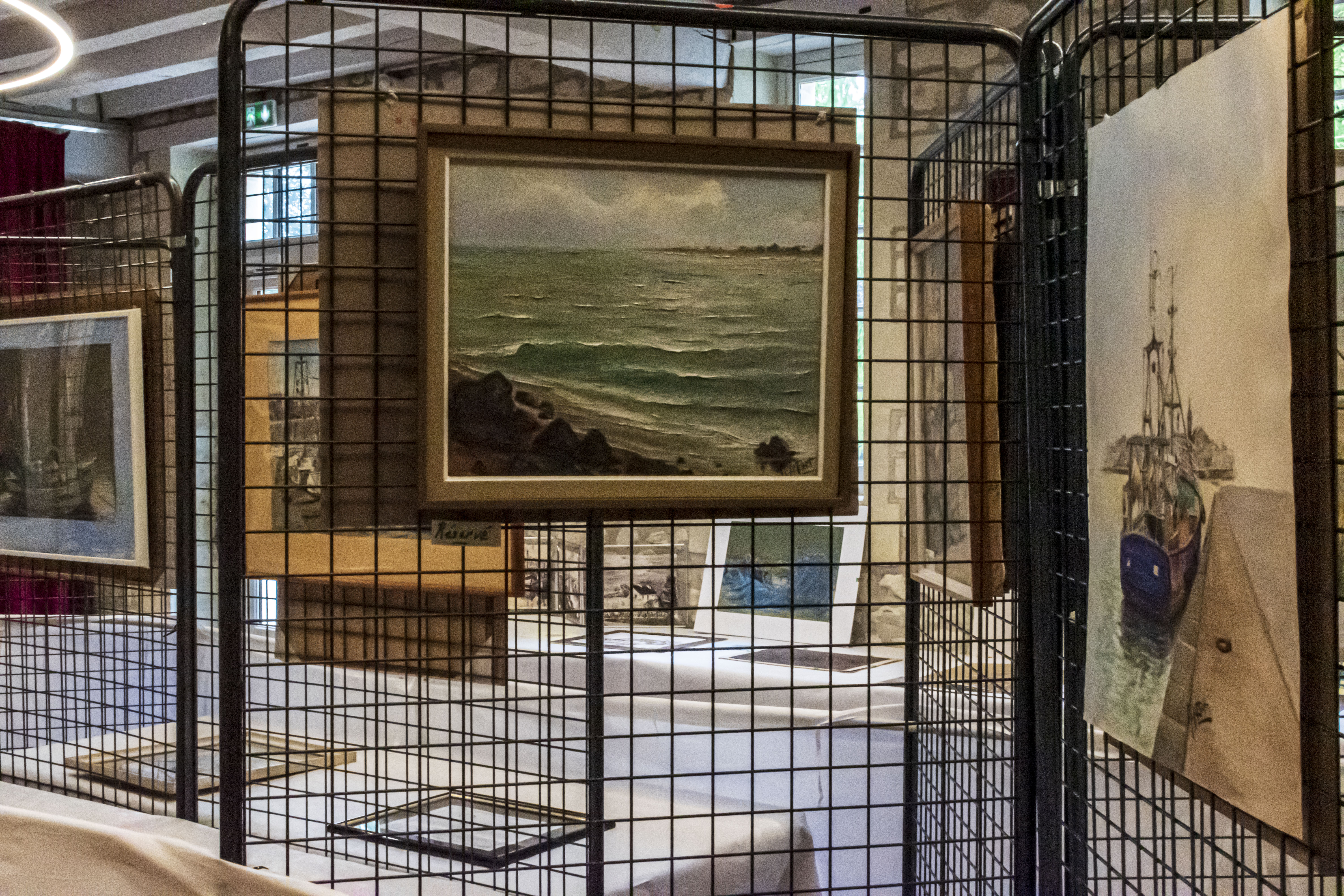 20251009 d5600 nik 4133