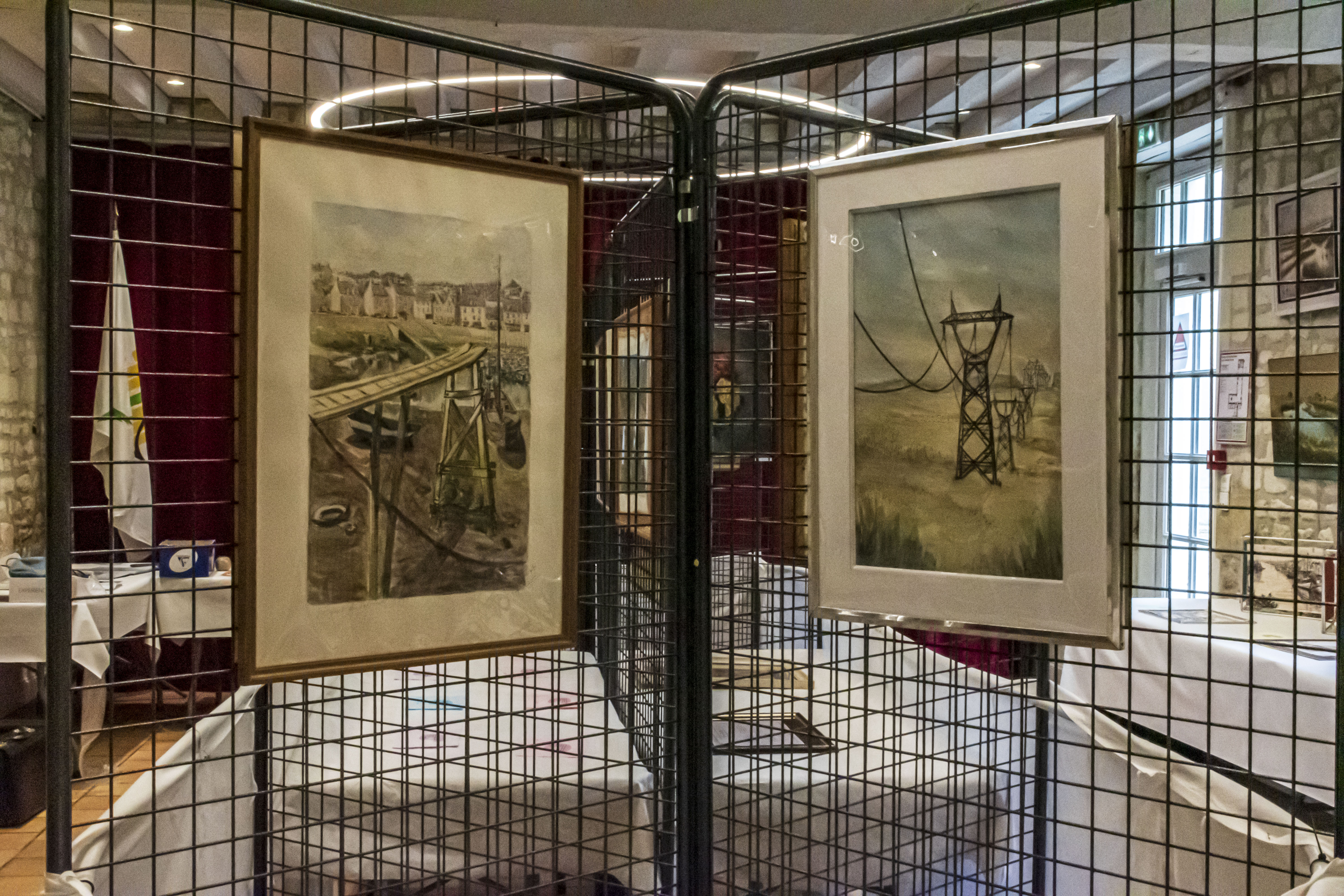 20251009 d5600 nik 4132