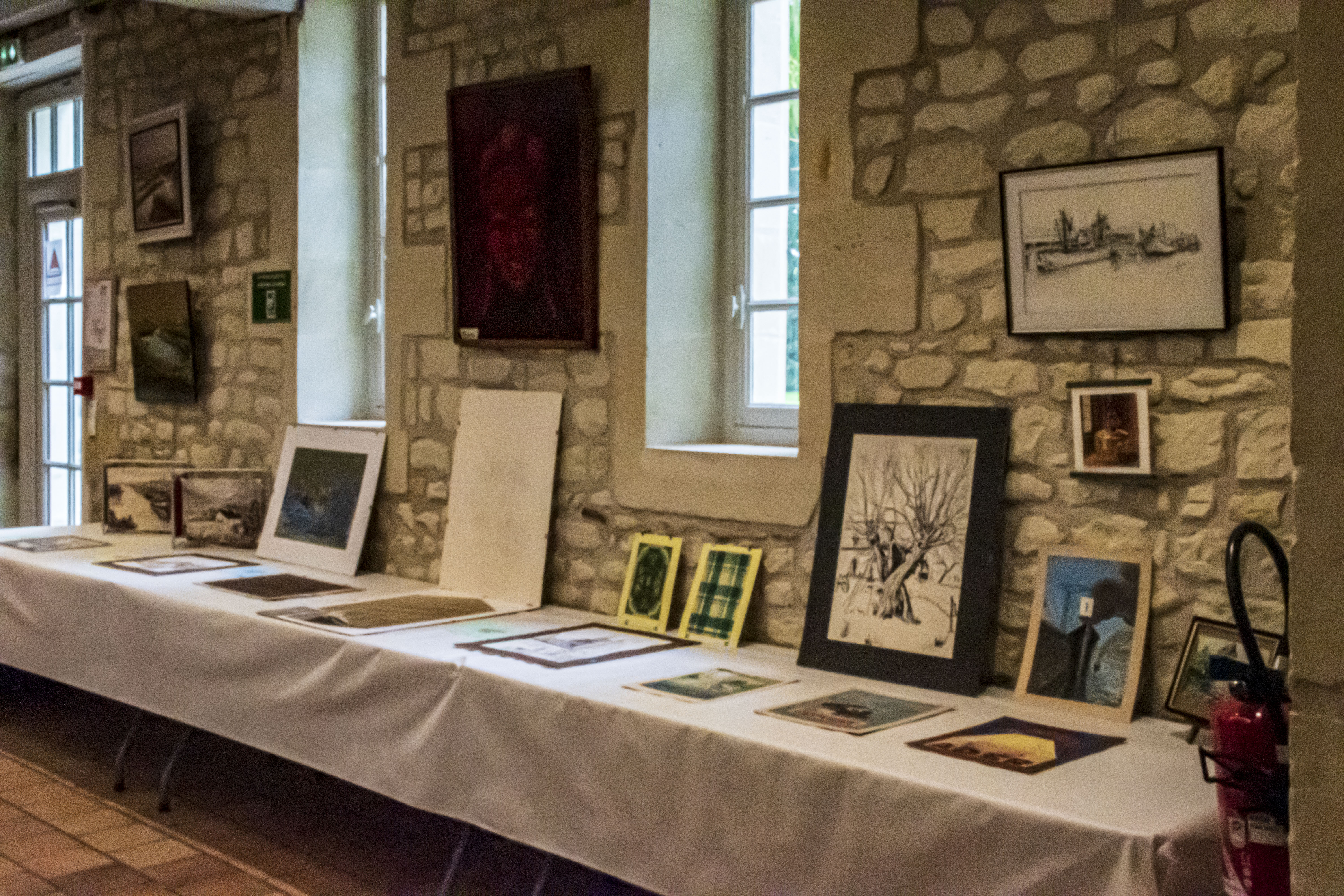 20251009 d5600 nik 4131