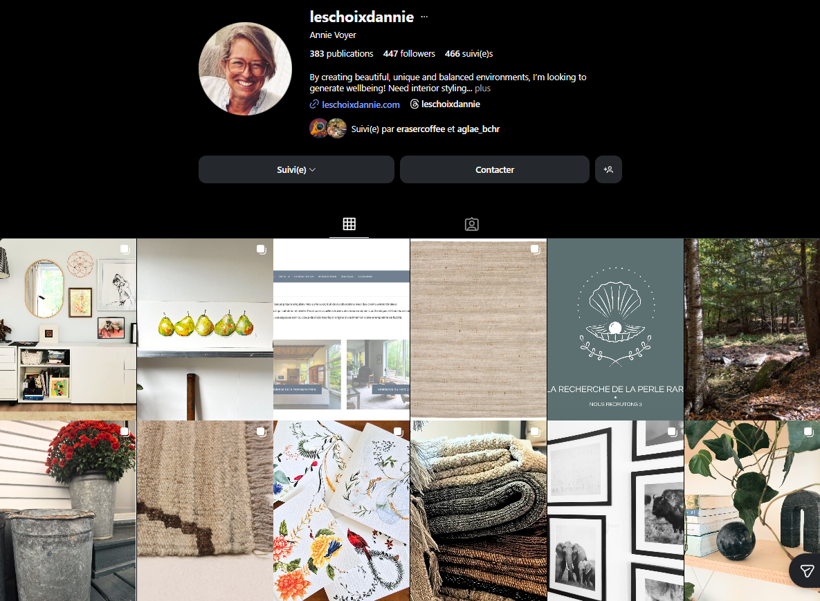 Capture d'écran de la page Instagram de la boutique de décoration d'intérieur Les choix d'Annie
Sutton, Québec