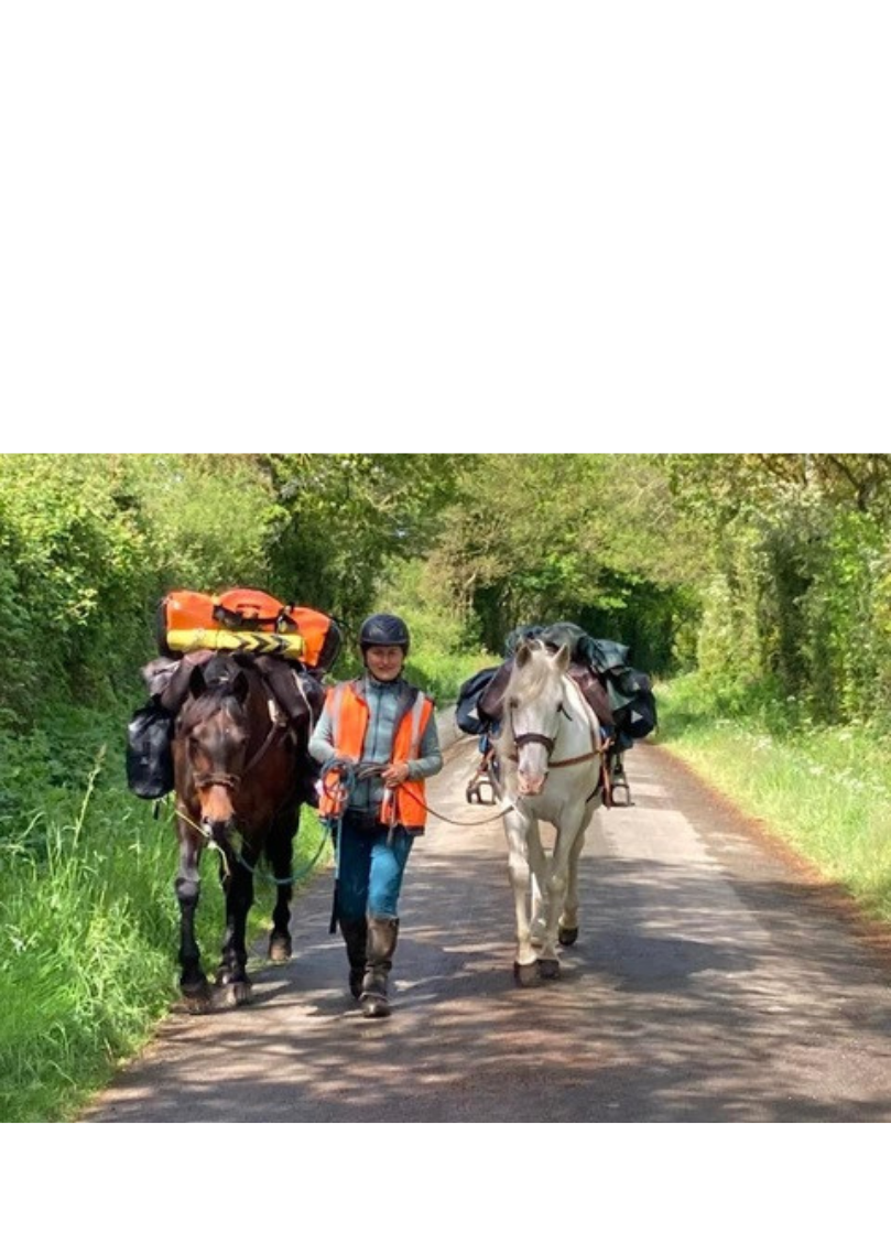 La Route des Pèlerins 