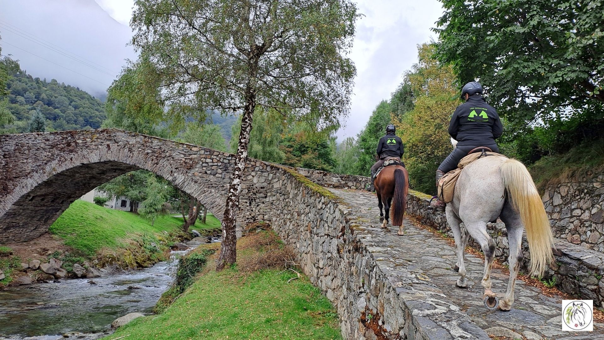 Les crottins, une histoire de désamour