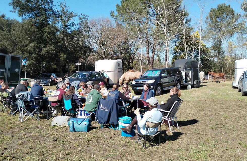 Rassemblements Week-end pour cavaliers et meneurs