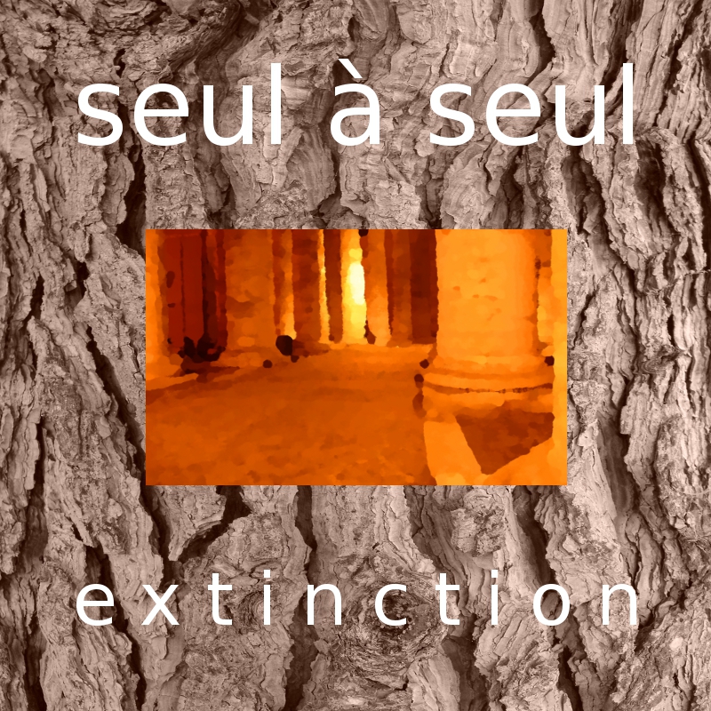 Philippe Soubeyrand - Seul à Seul - [Disque 1] - e x t i n c t i o n - Disponible gratuitement sur Dogmazic