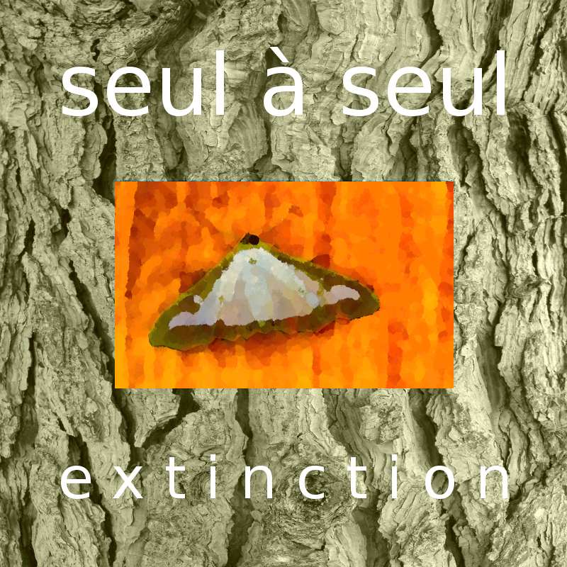 Philippe Soubeyrand - Seul à Seul - [Disque 3] - e x t i n c t i o n - Disponible gratuitement sur Dogmazic
