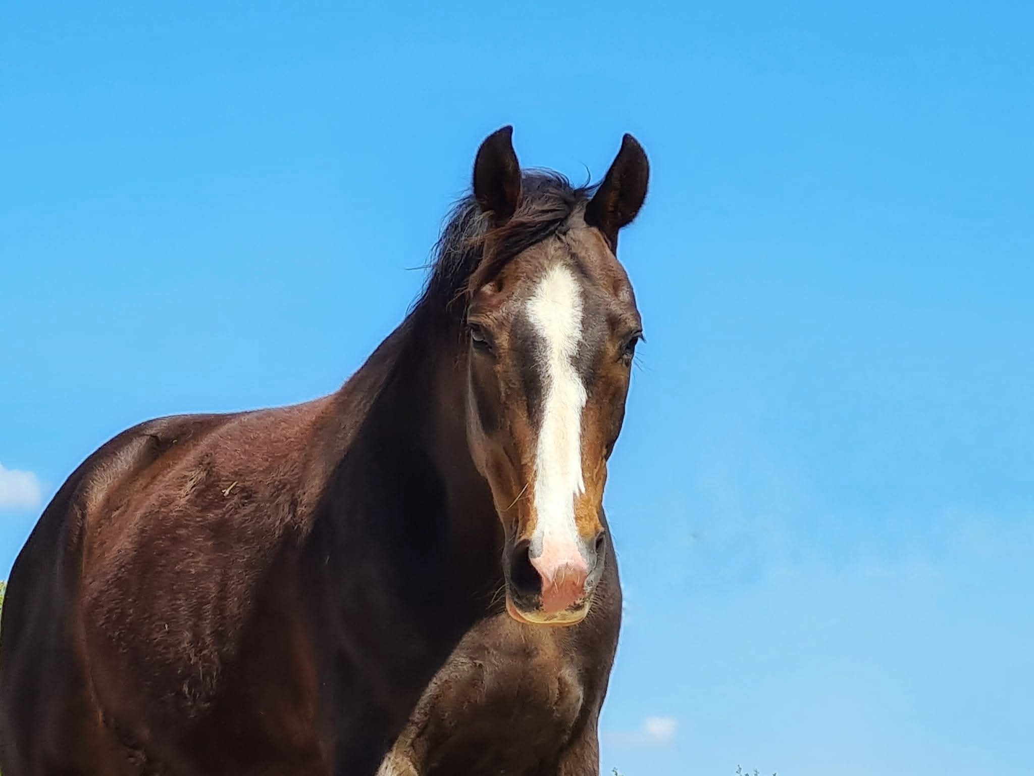 FB IMG 1762764624862