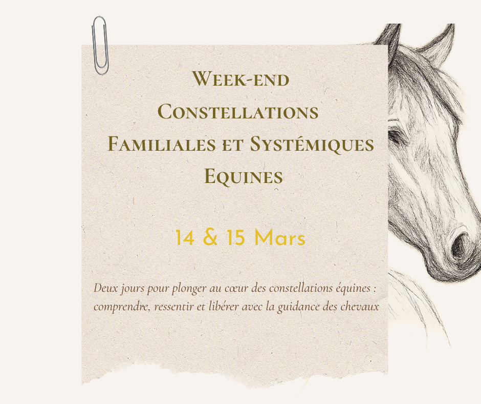-Atelier-Maison-Manon-Vendredi-14-novembre-L-automne-s-invite-dans-cet-espace-Un-moment-pour-ralentir-Respirer-se-deposer-Explorer-ses-emotions-a-travers-le-corps-Observer-c-1-
