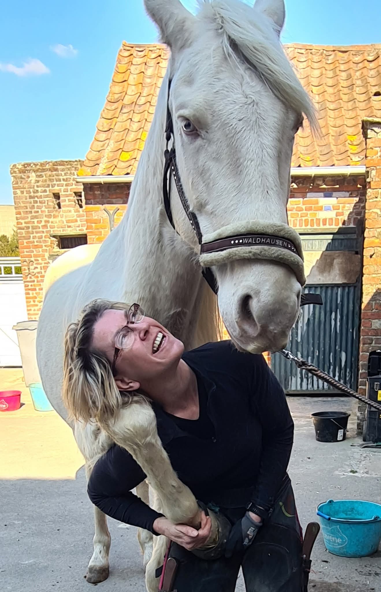 FB IMG 1762764489686