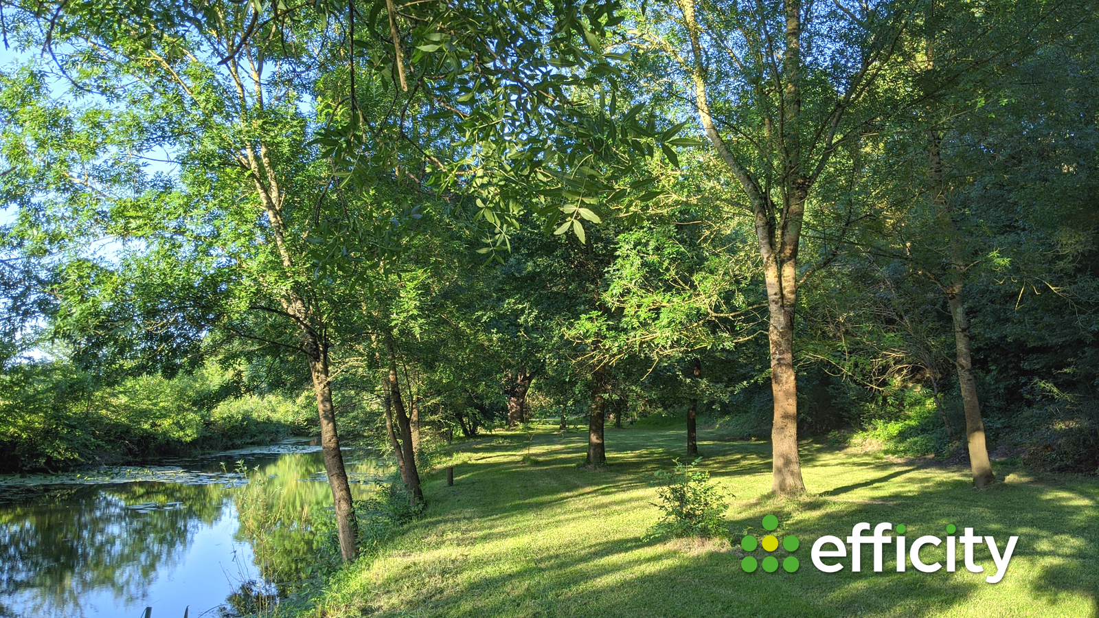 Picasabackground-001-copie